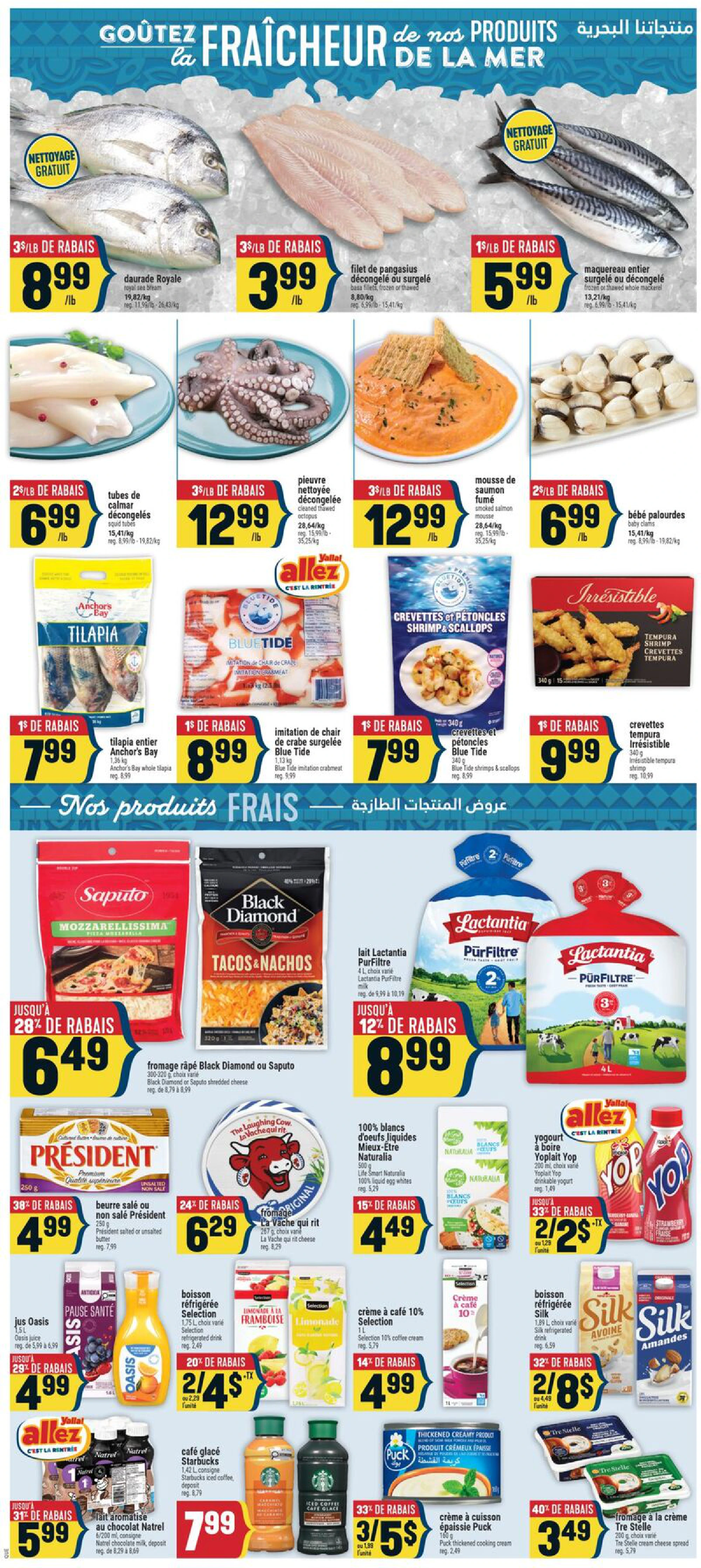Flyer page 6
