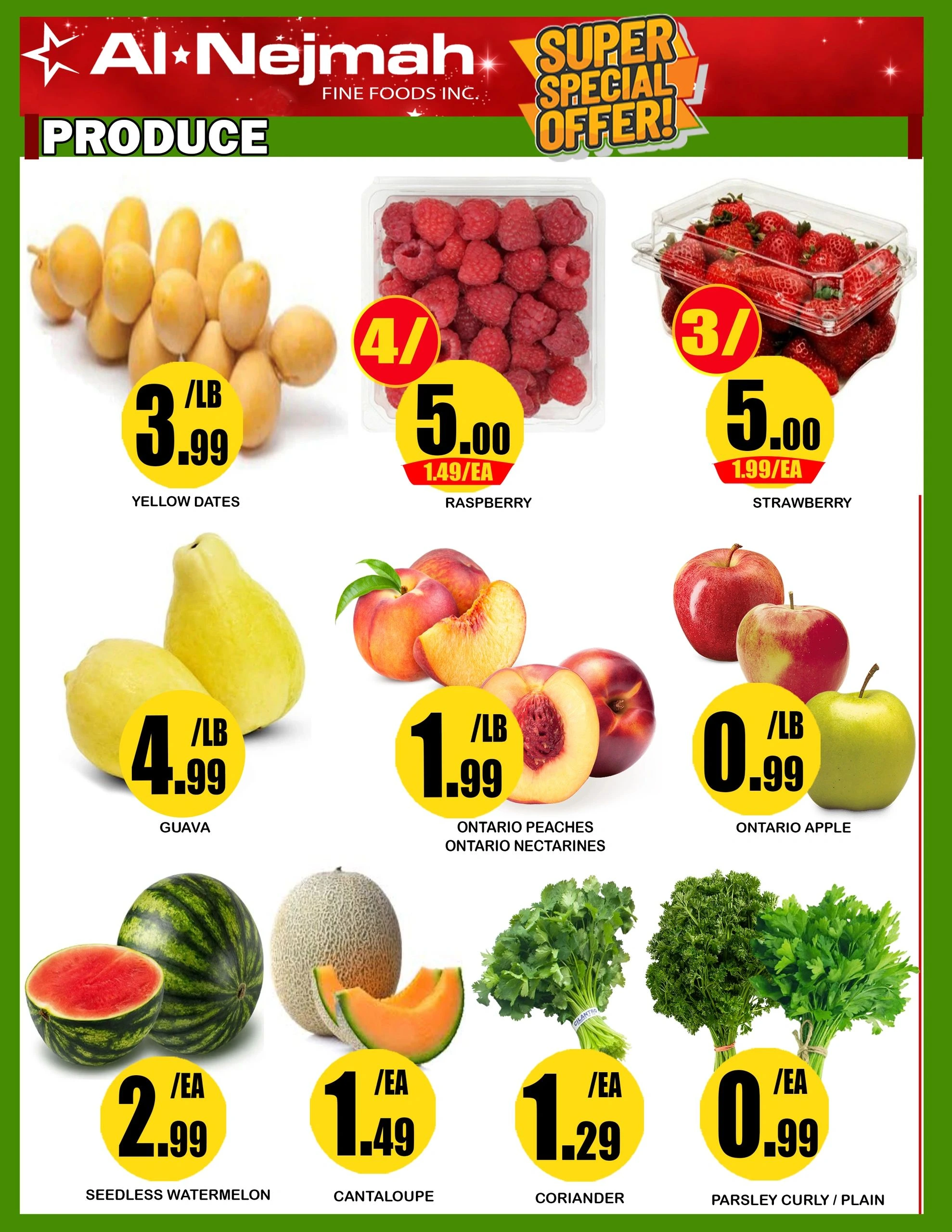 Flyer page 5