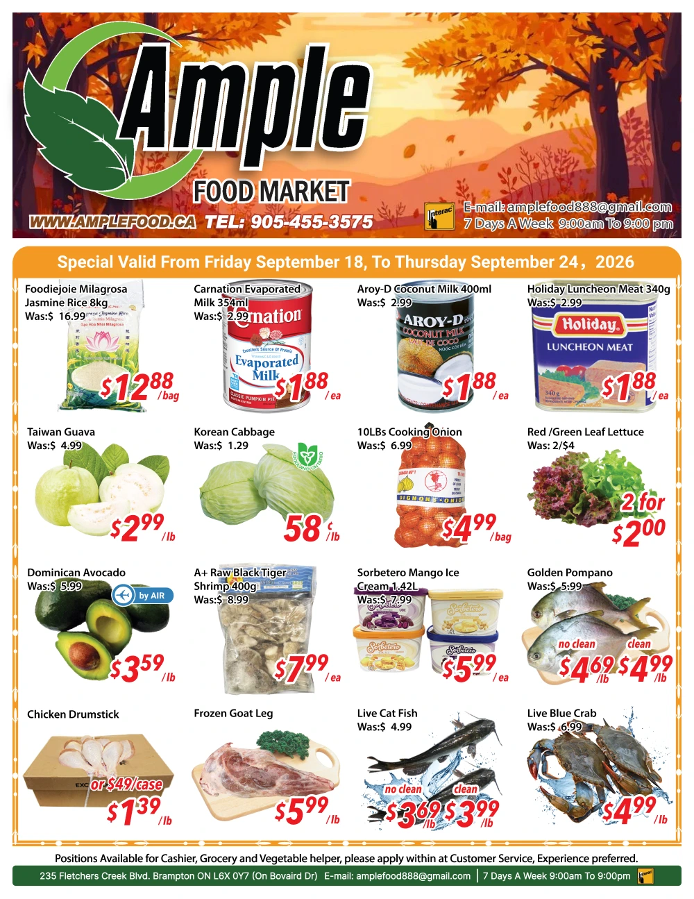 Ample Food Market Brampton Weekly Flyer - Page 1