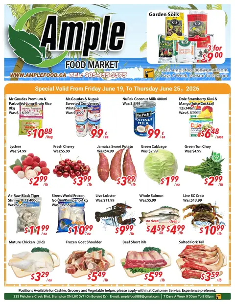 Weekly Flyer