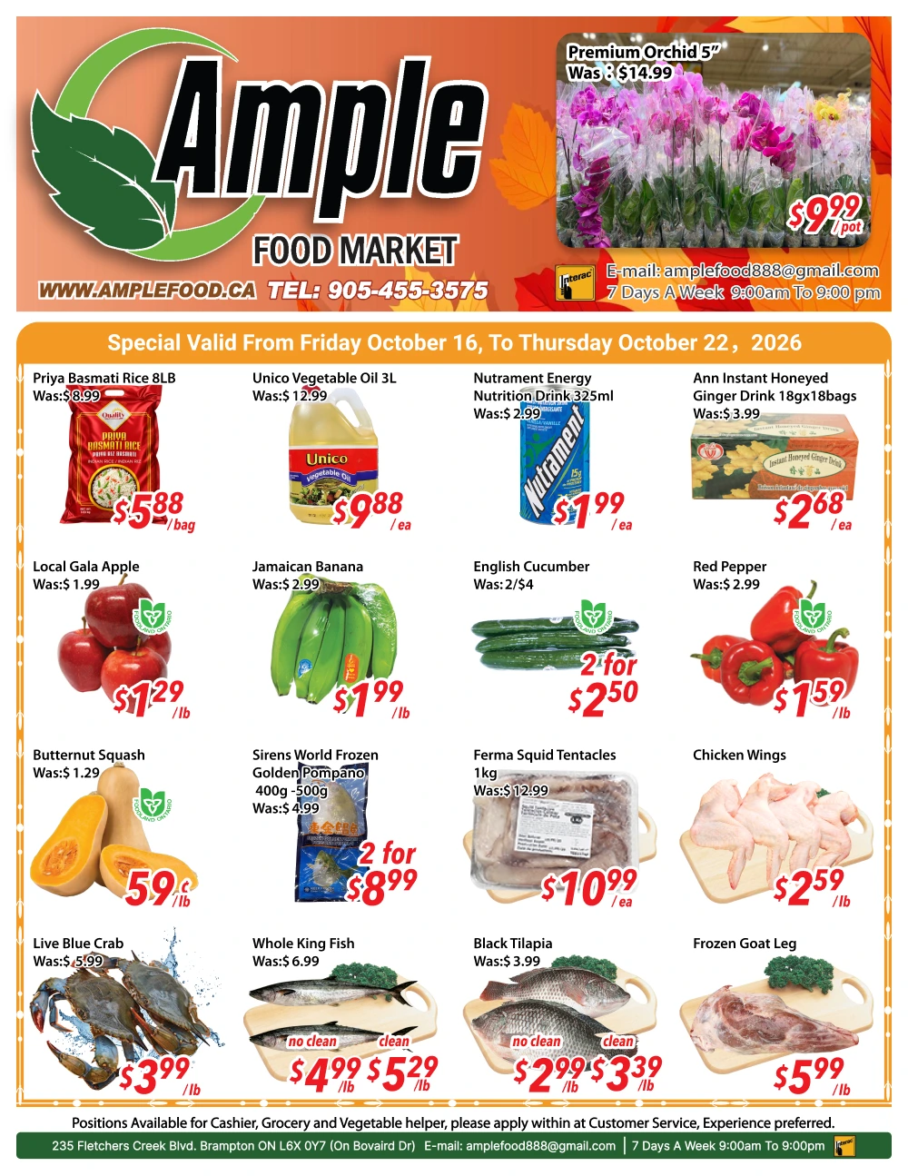 Ample Food Market Brampton Weekly Flyer - Page 1