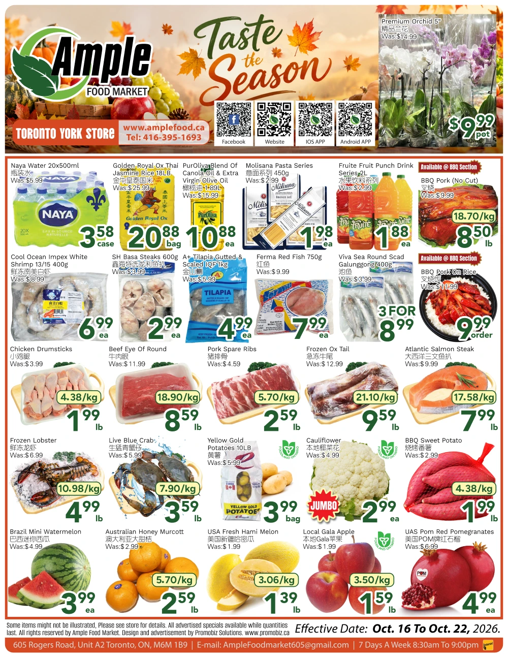 Ample Food Market Toronto York Weekly Flyer - Page 1