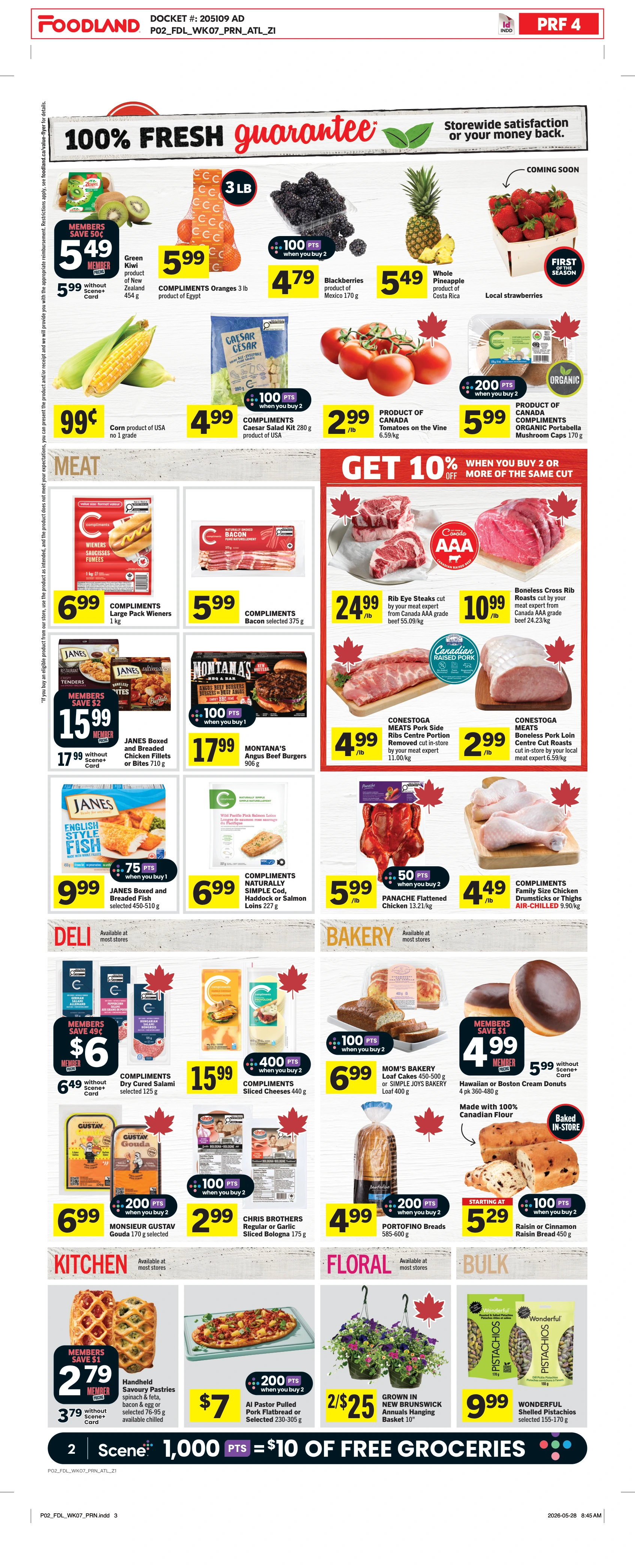 Flyer page 3