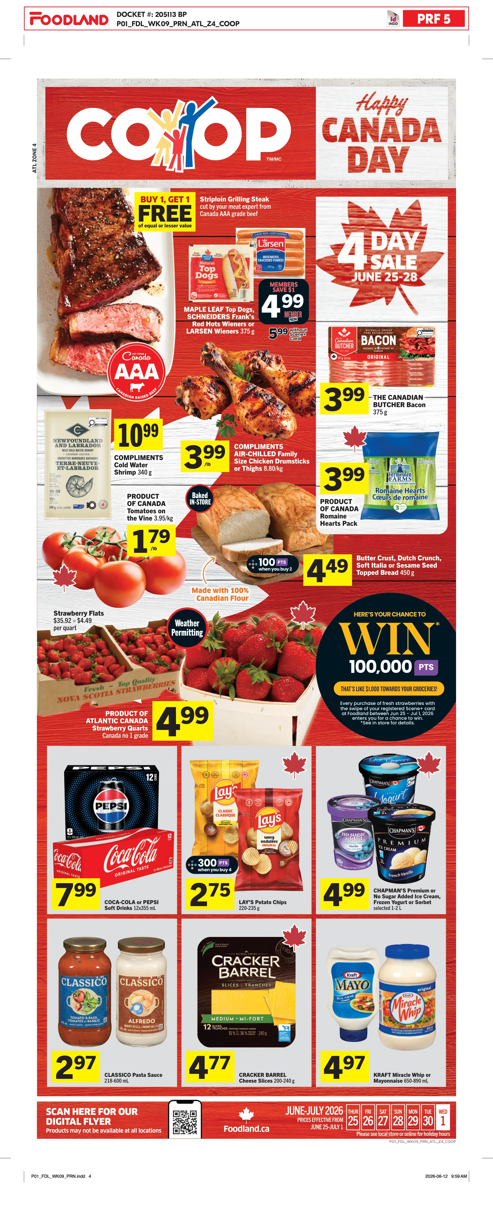 Flyer page 1