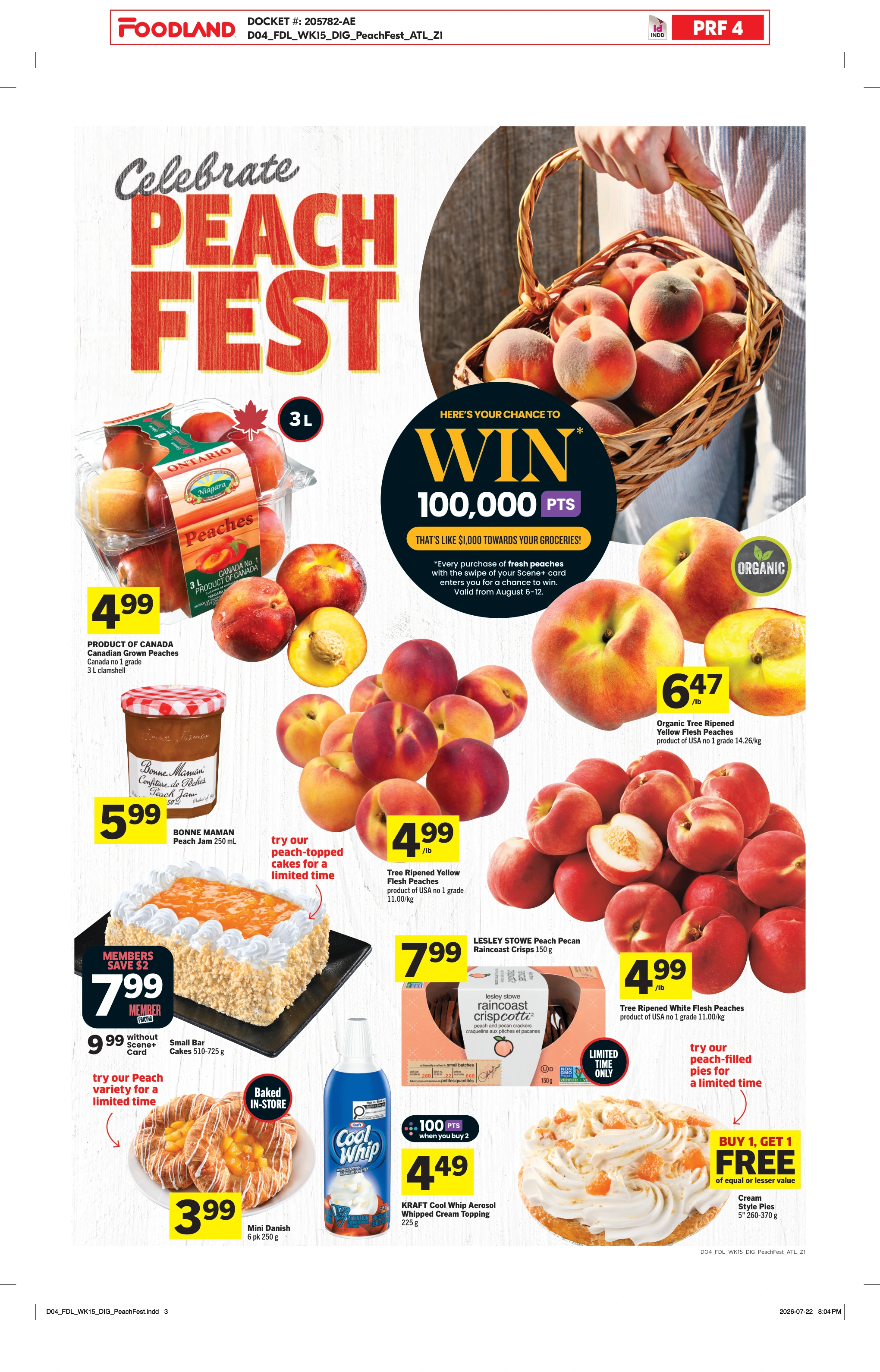 Flyer page 5