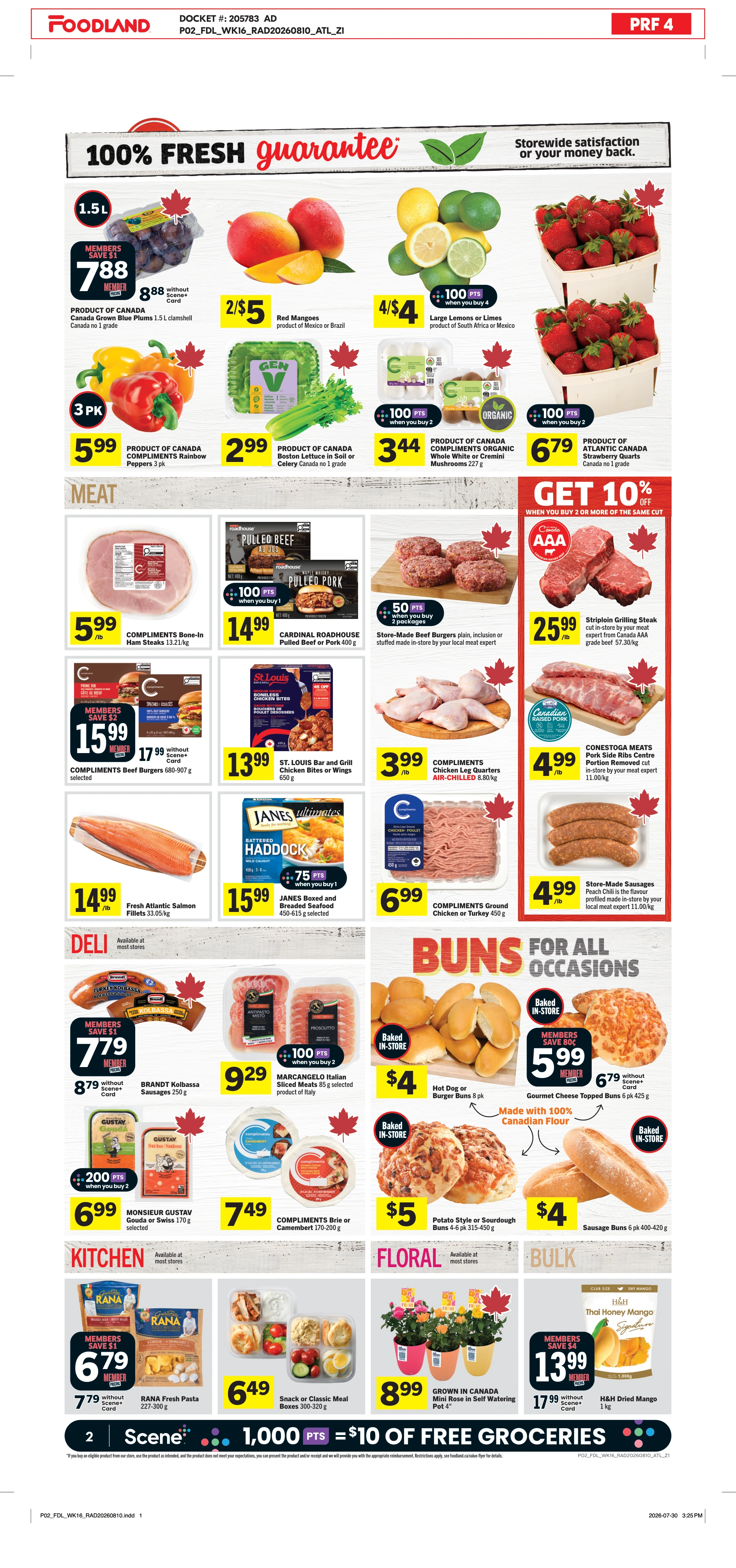 Flyer page 3