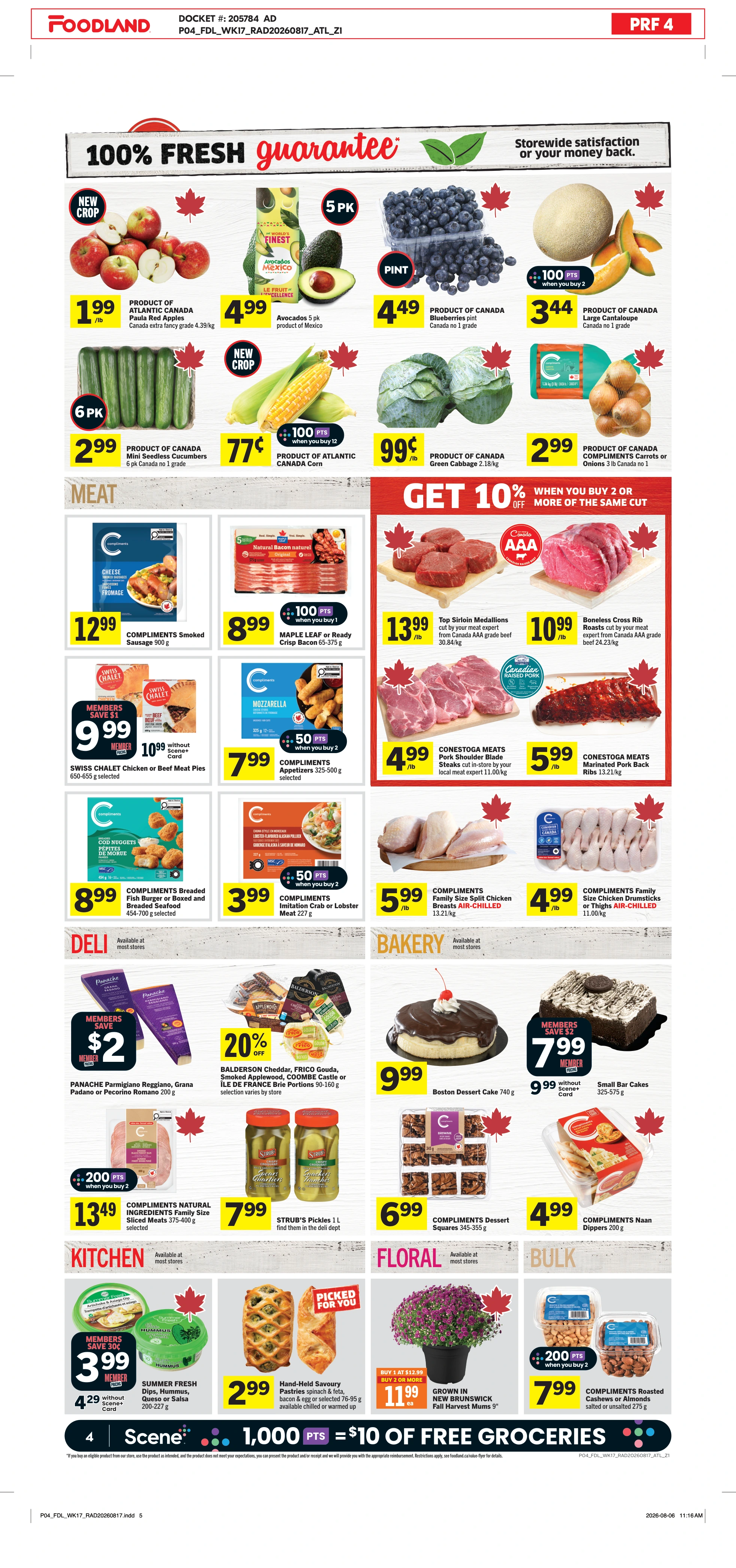 Flyer page 5