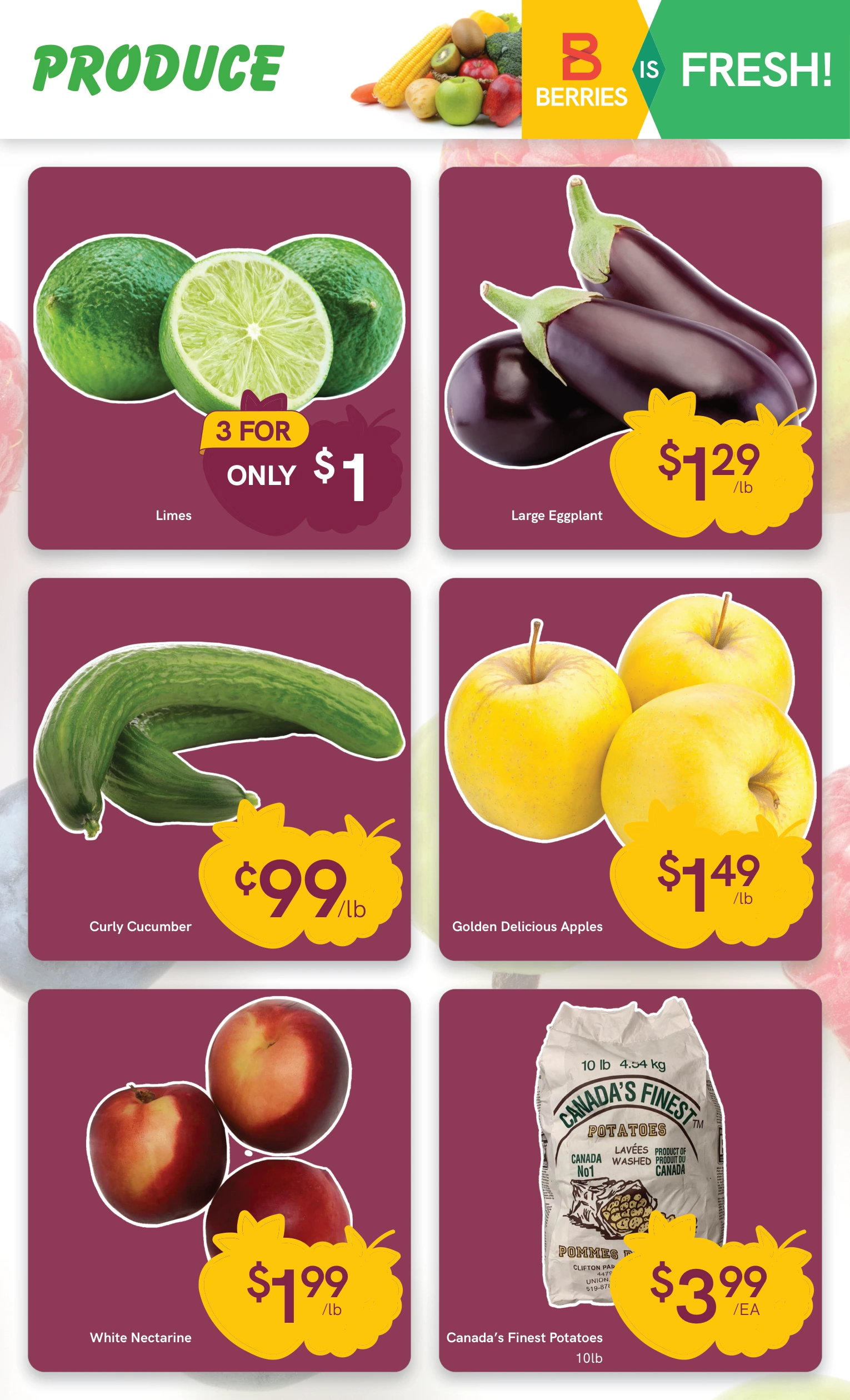 Flyer page 5