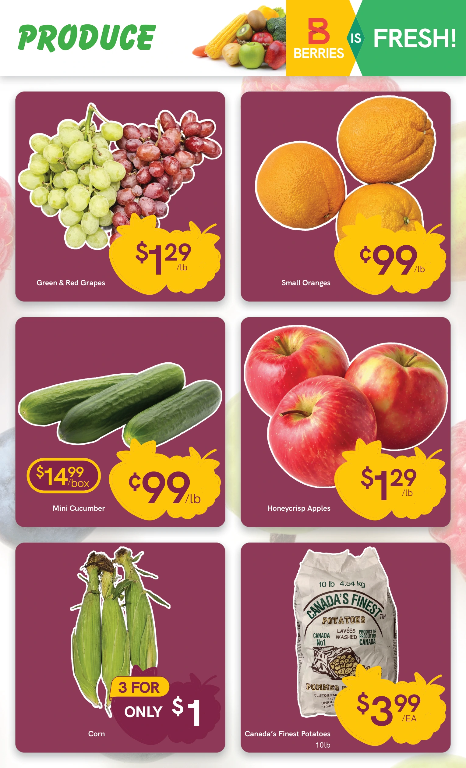 Flyer page 5