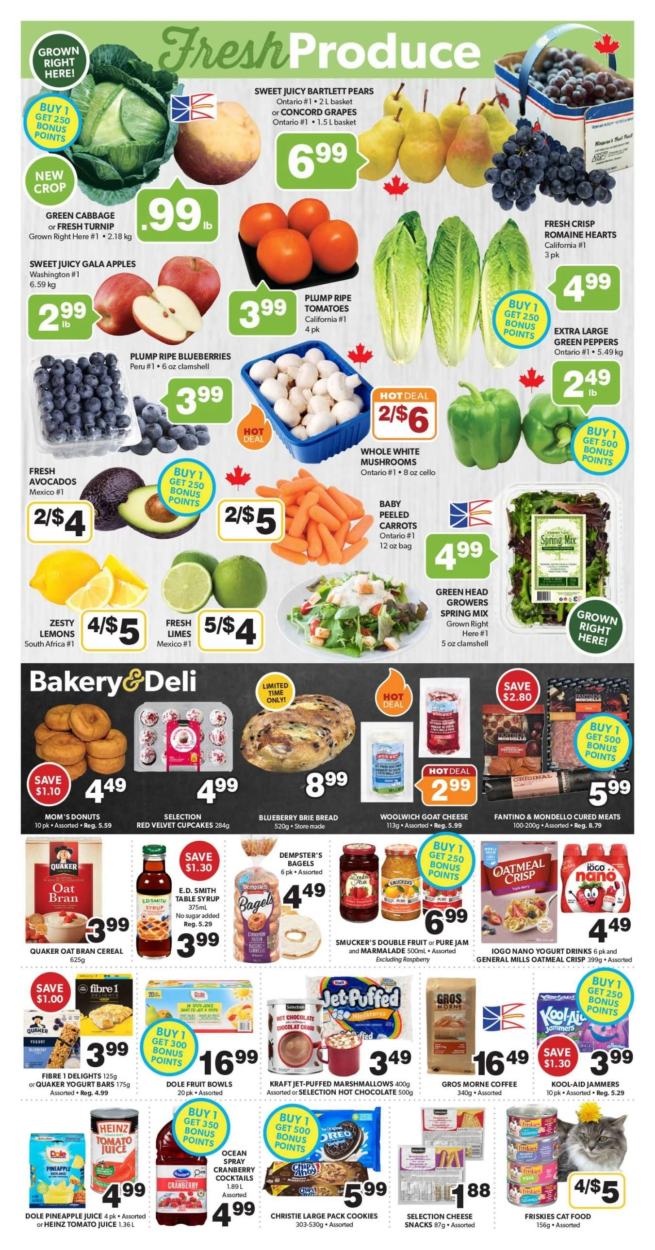 Bidgoods Weekly Flyer - Page 2