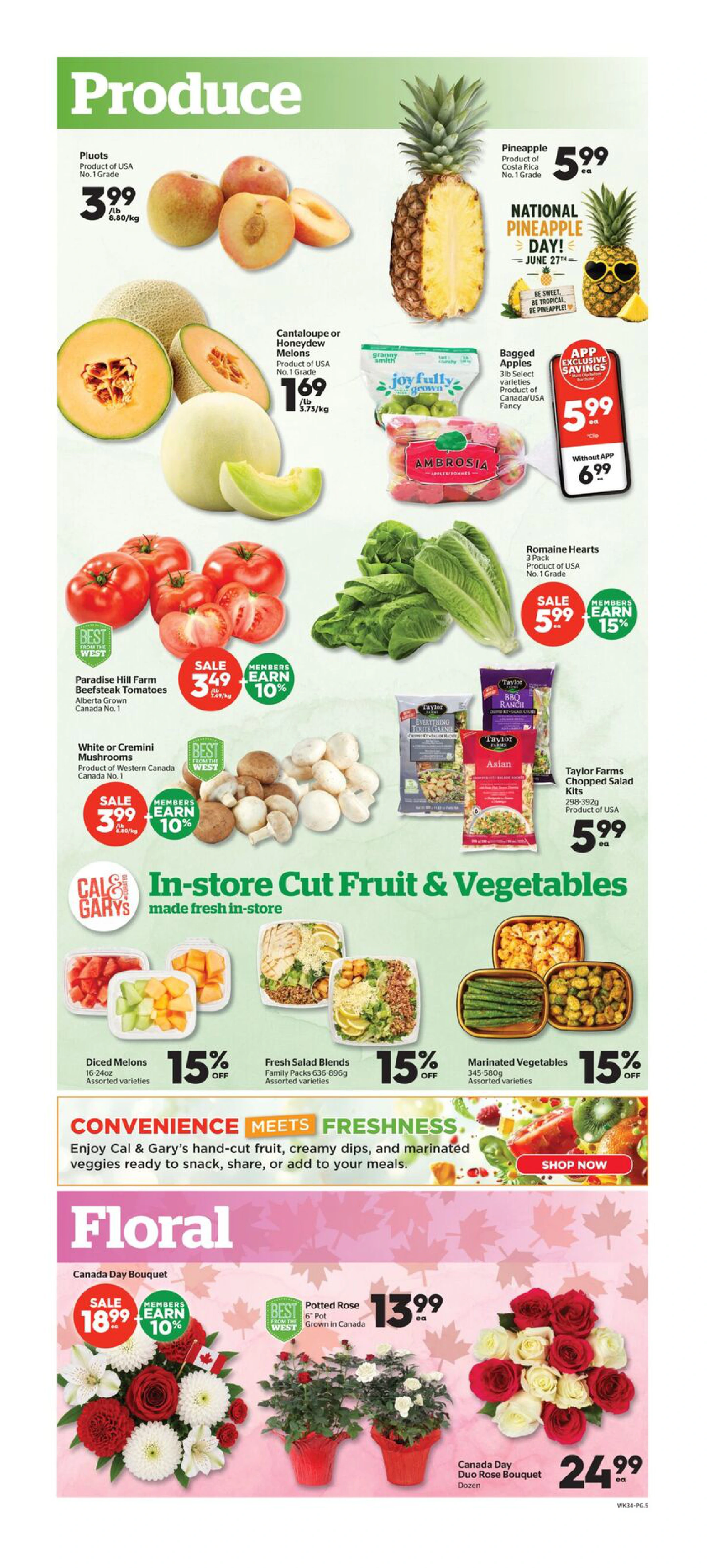 Flyer page 5
