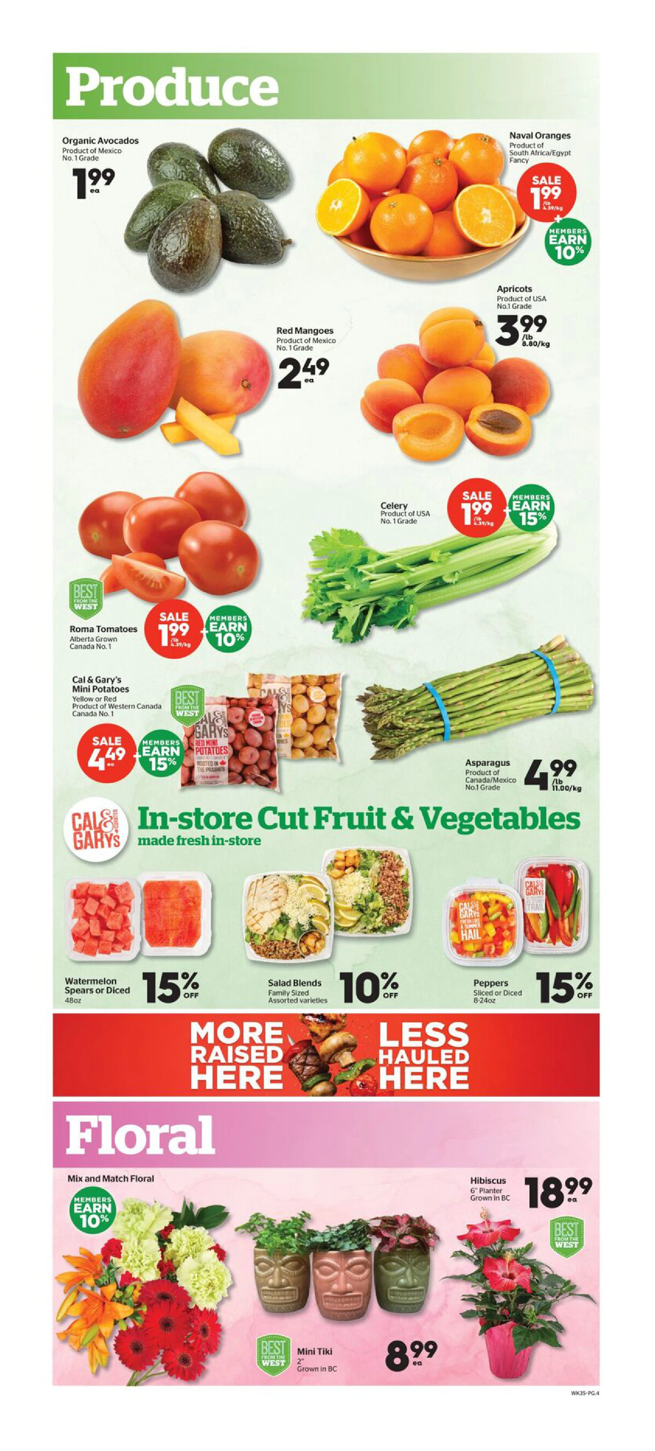 Flyer page 4