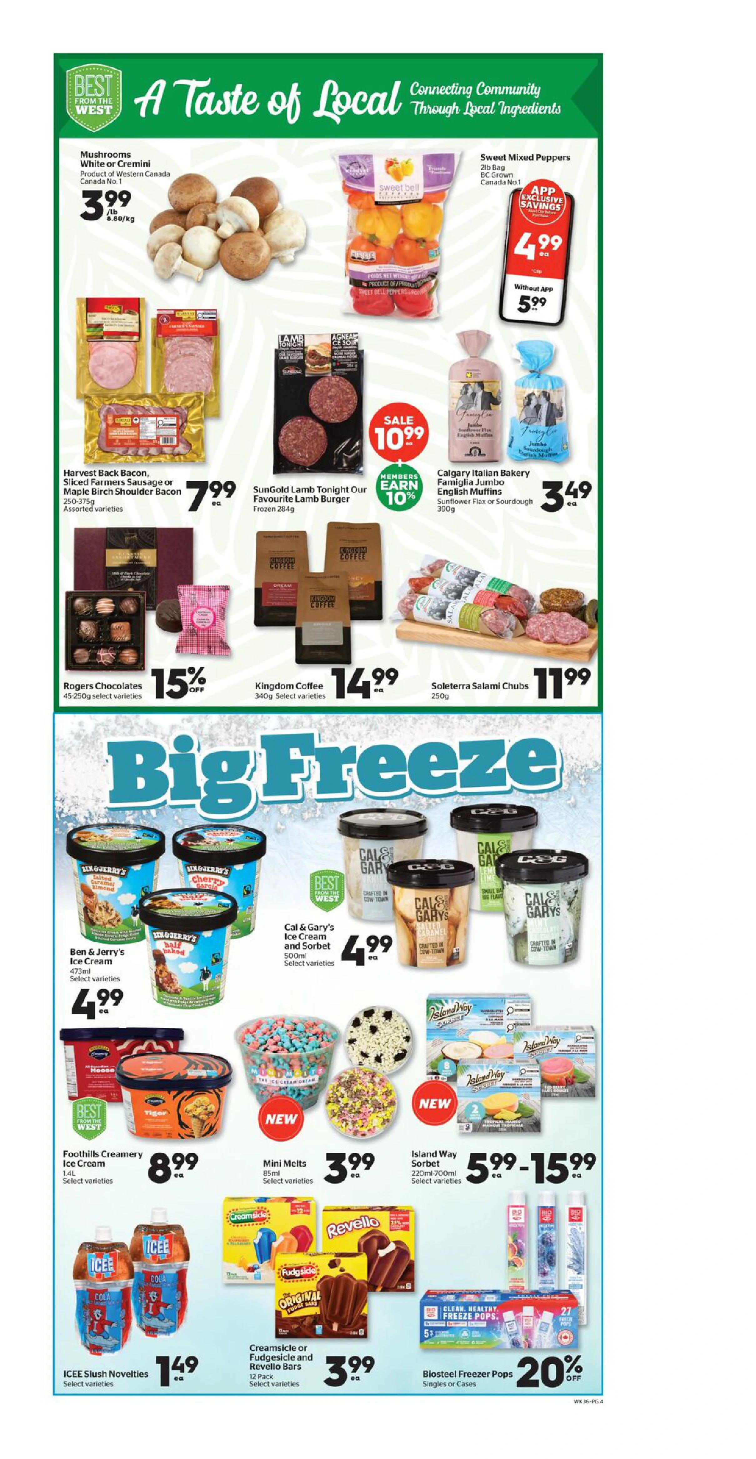 Flyer page 4