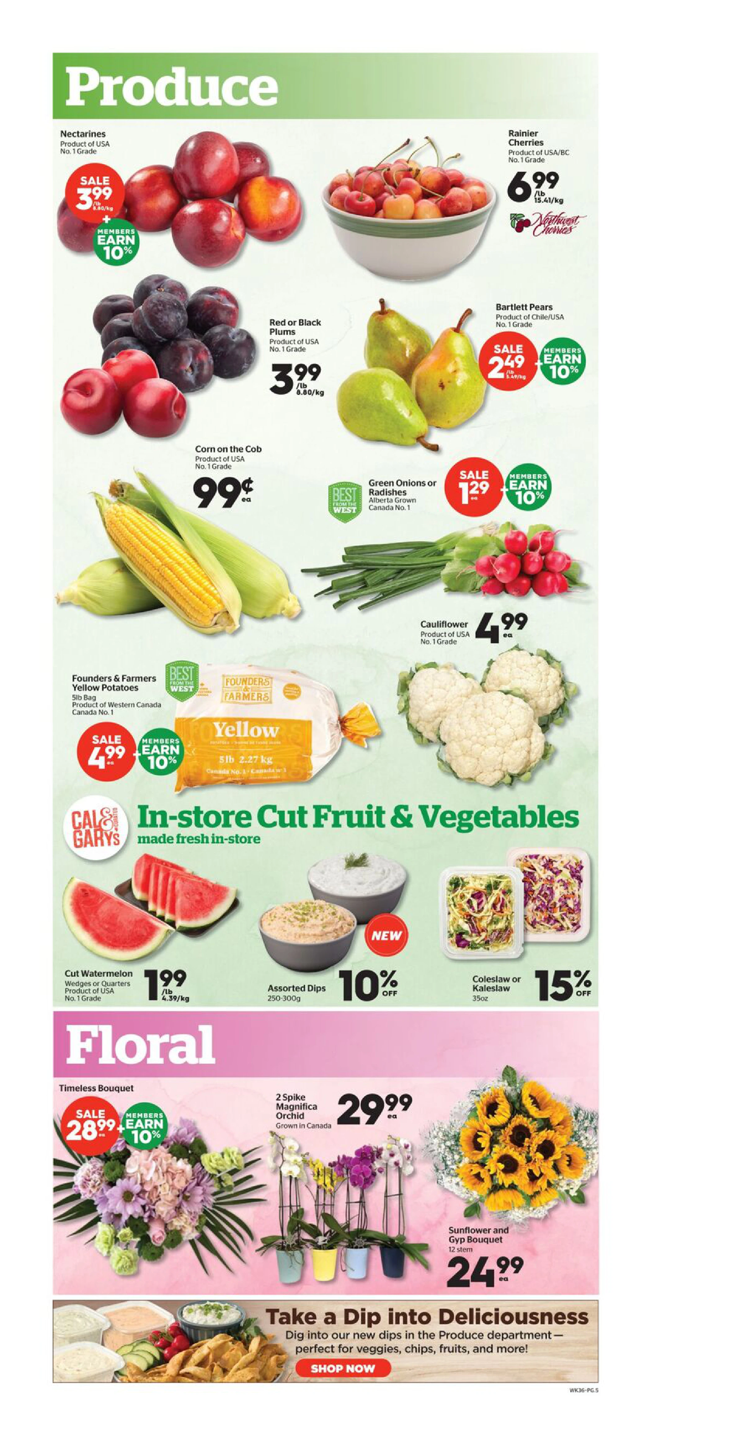 Flyer page 5