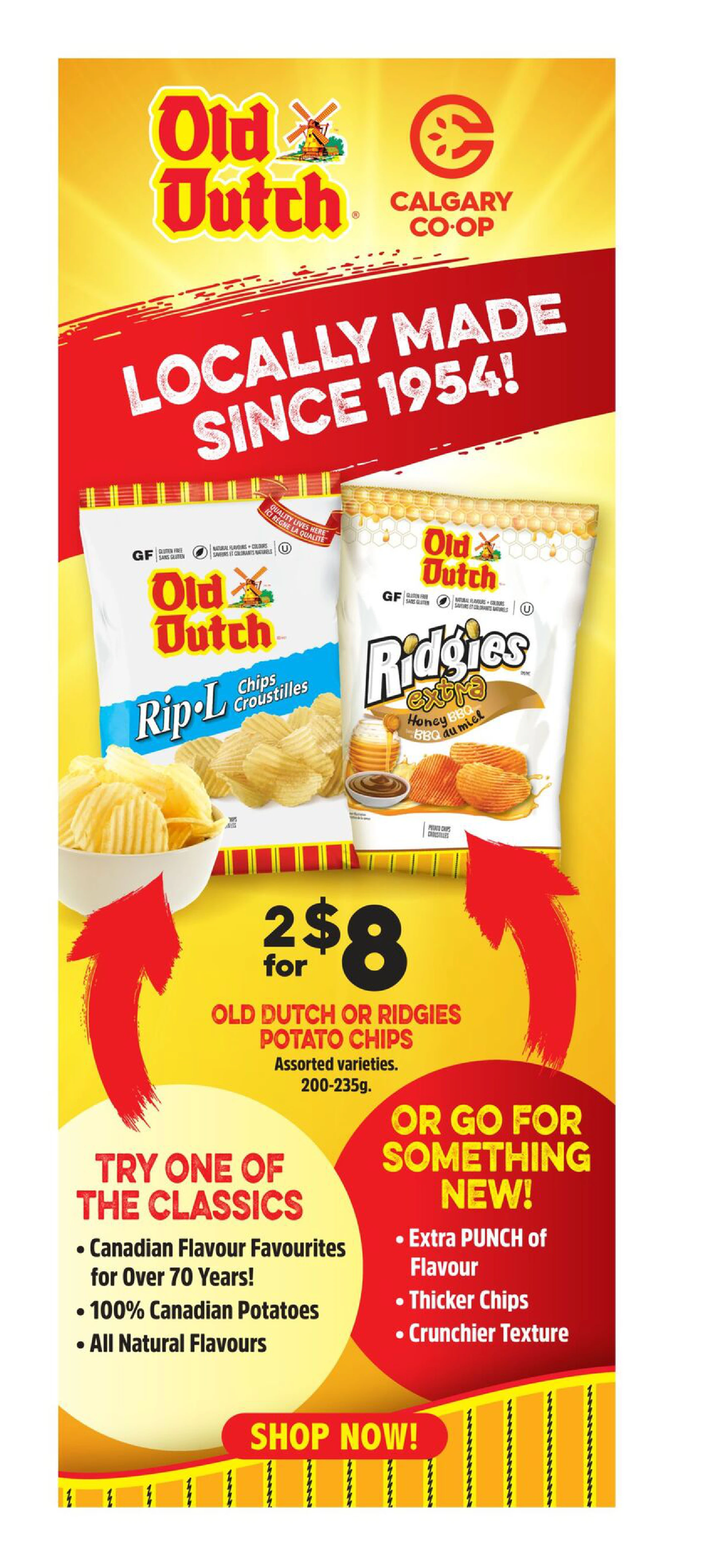 Flyer page 9