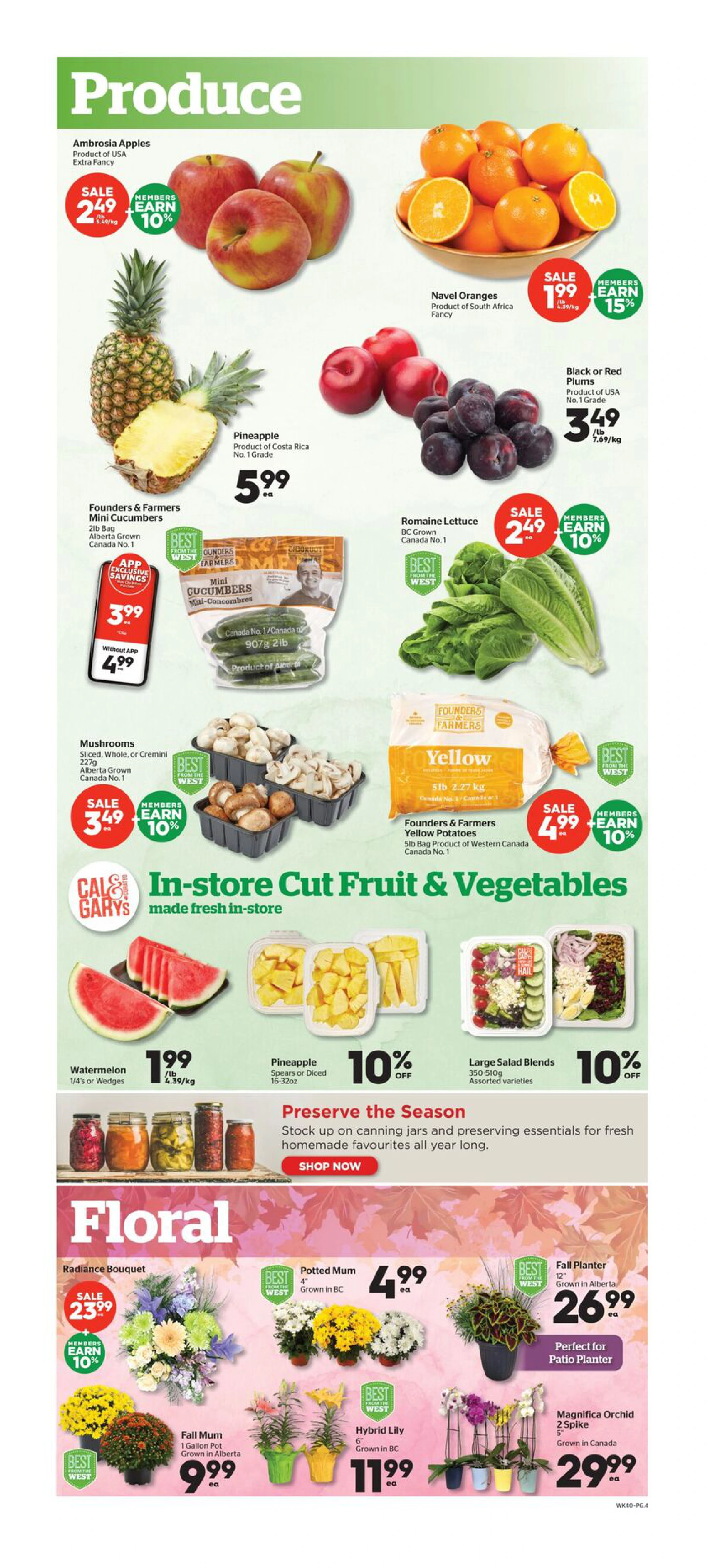 Flyer page 4