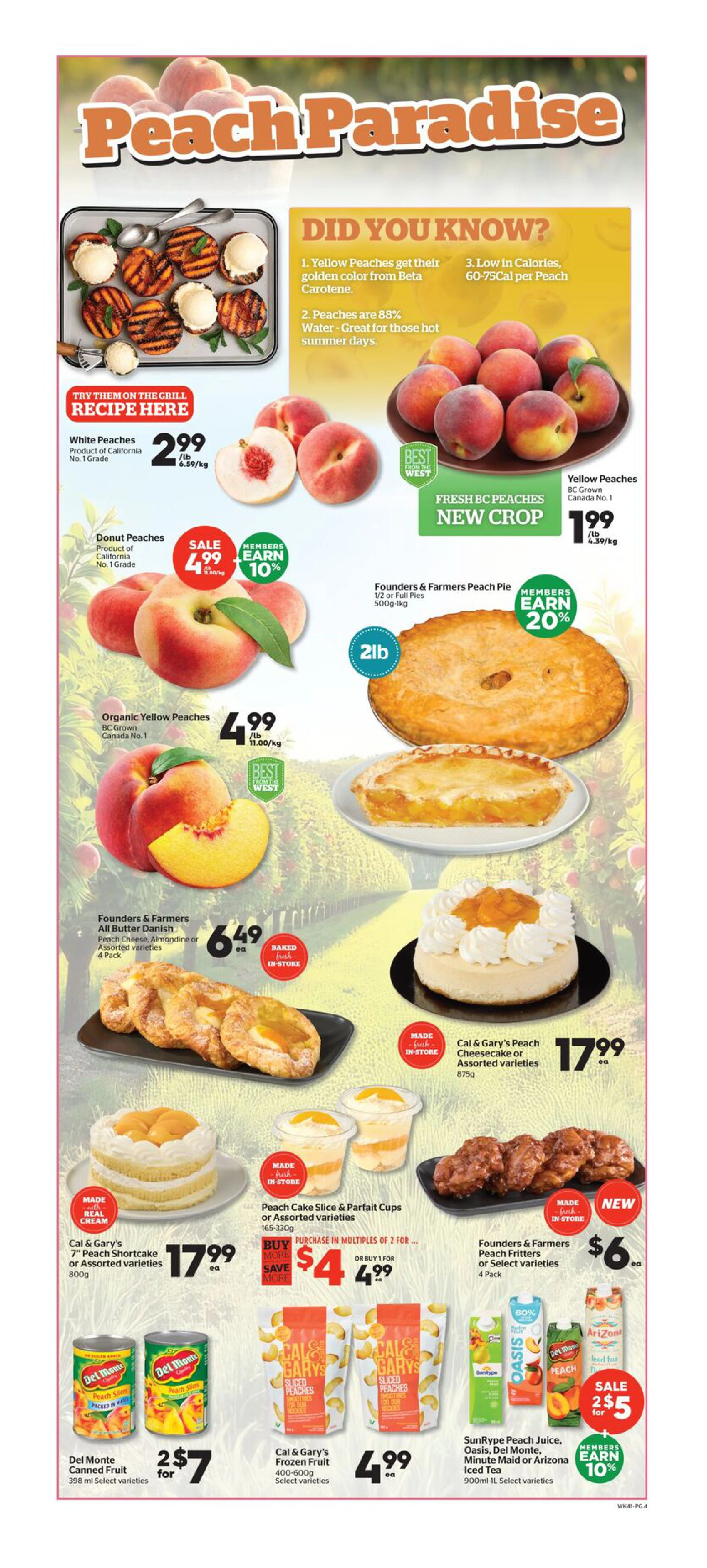 Flyer page 4