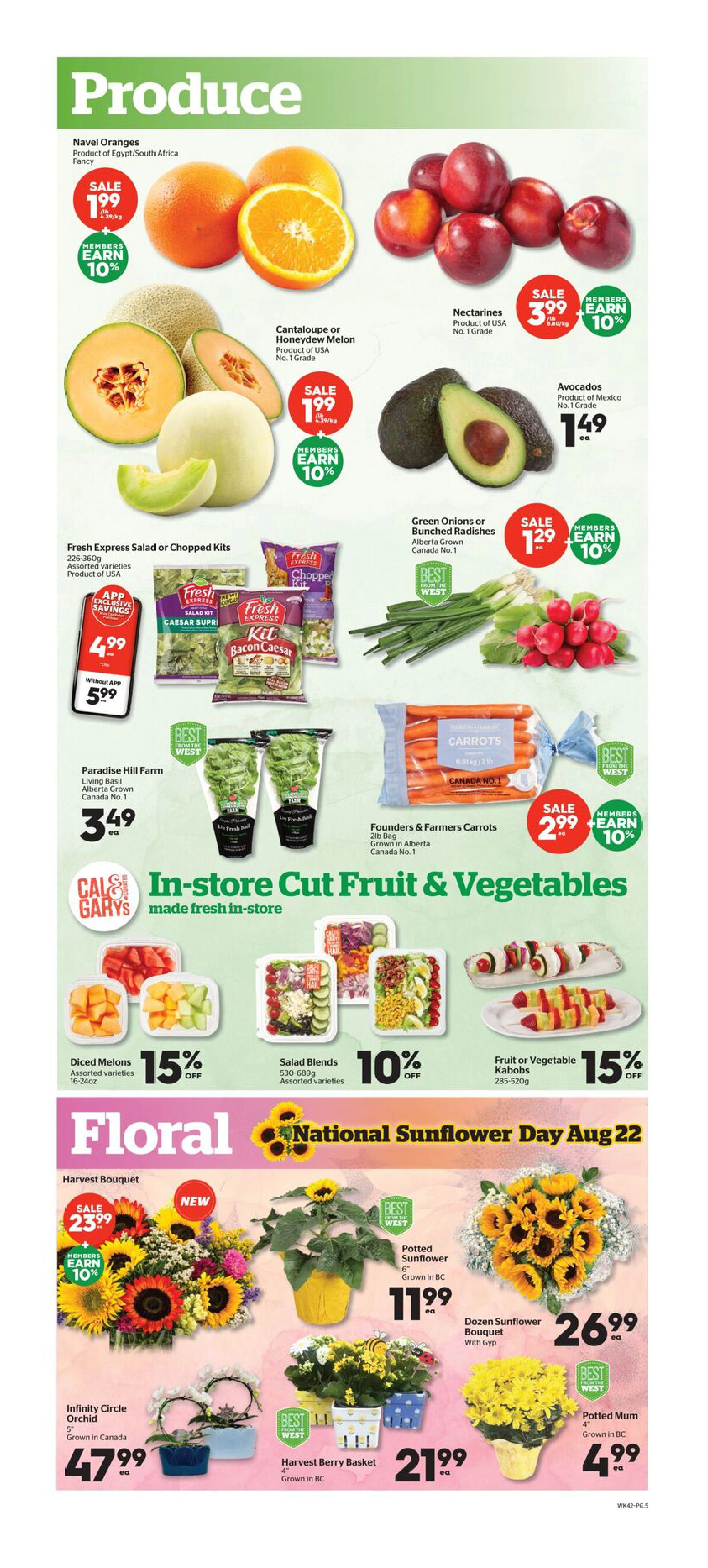 Flyer page 5