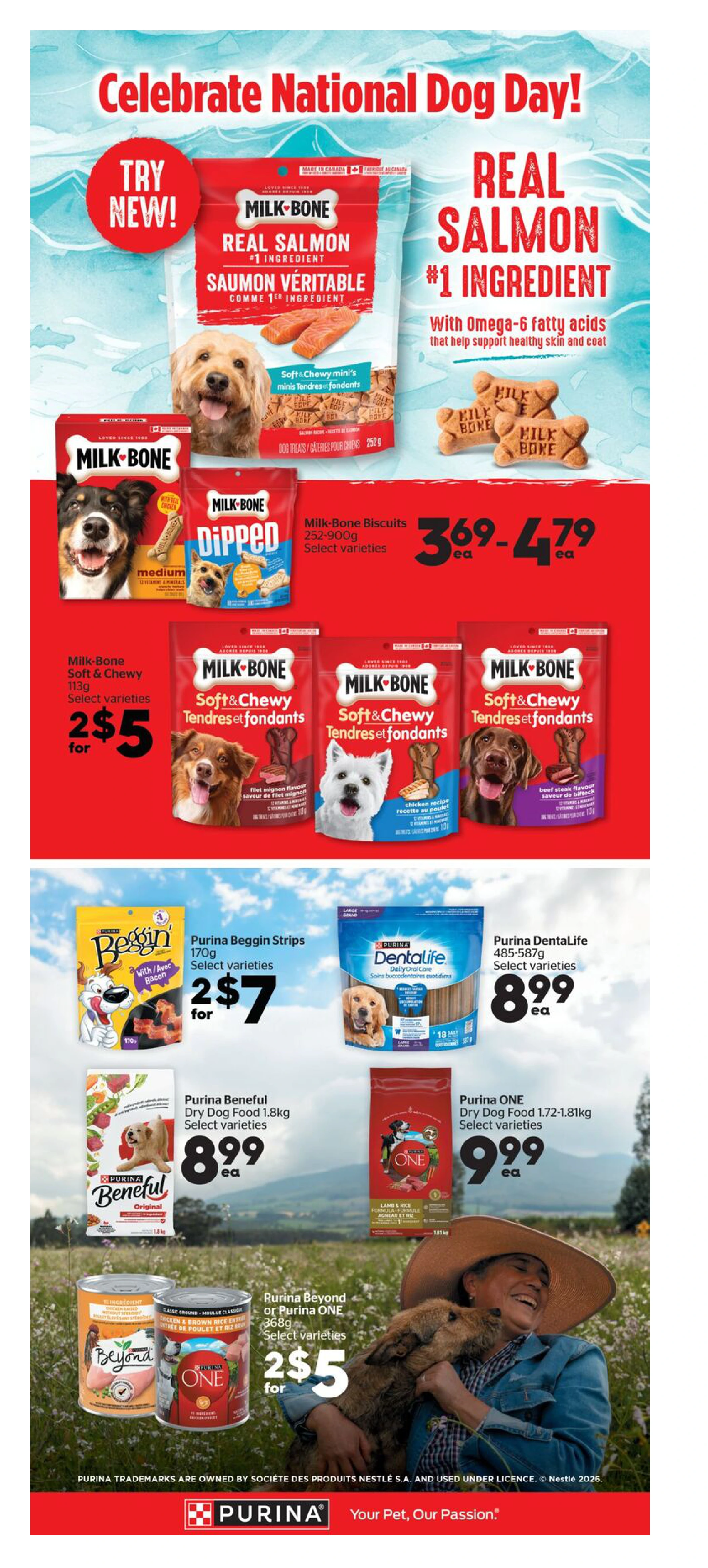 Flyer page 9