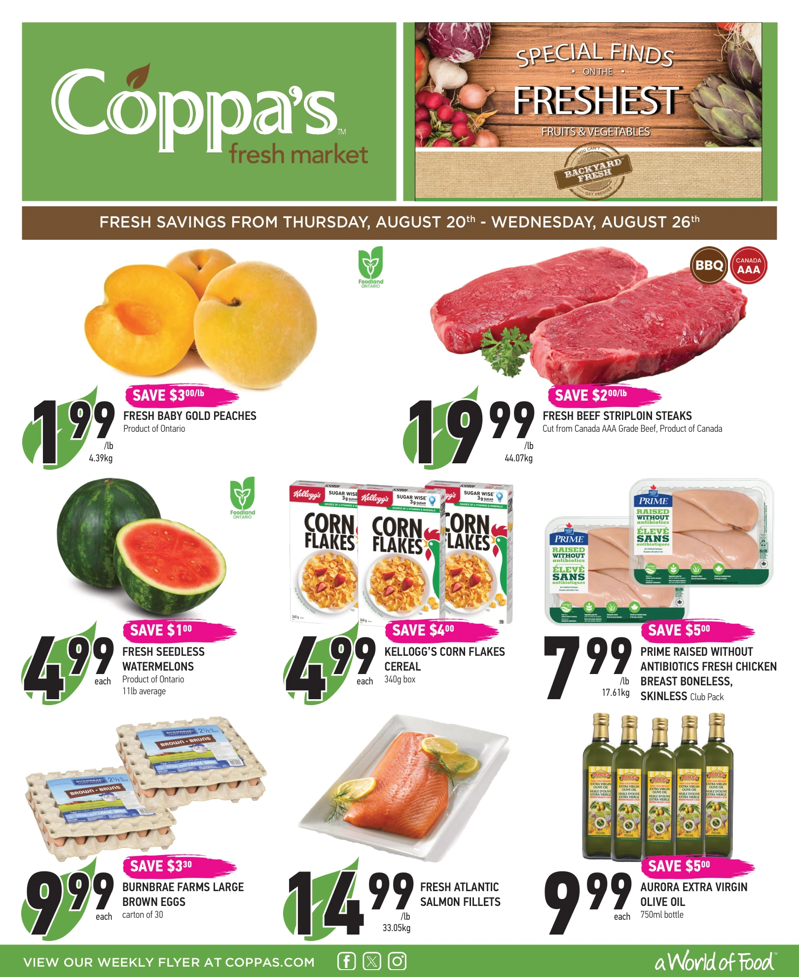 Flyer page 1