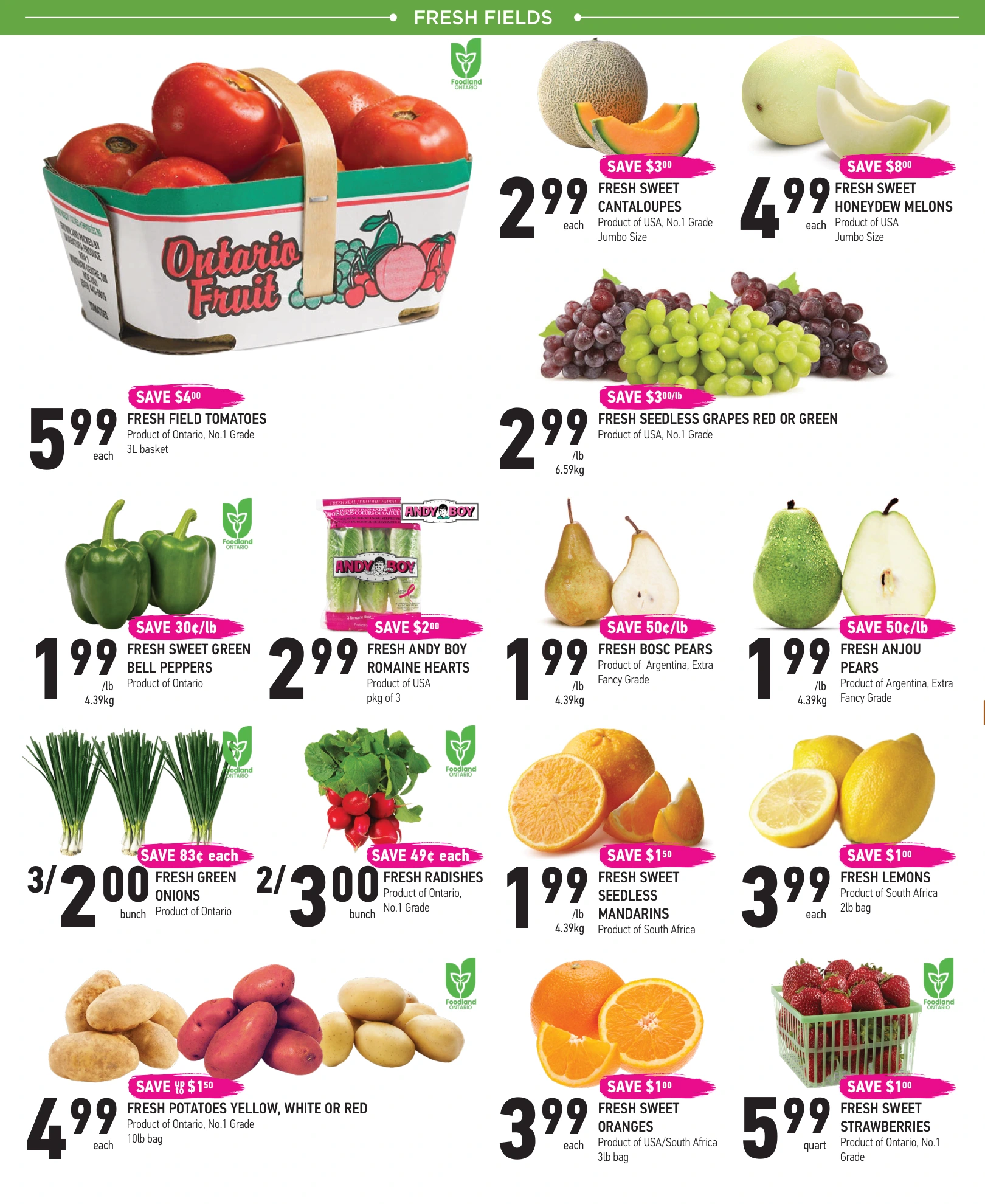 Flyer page 2