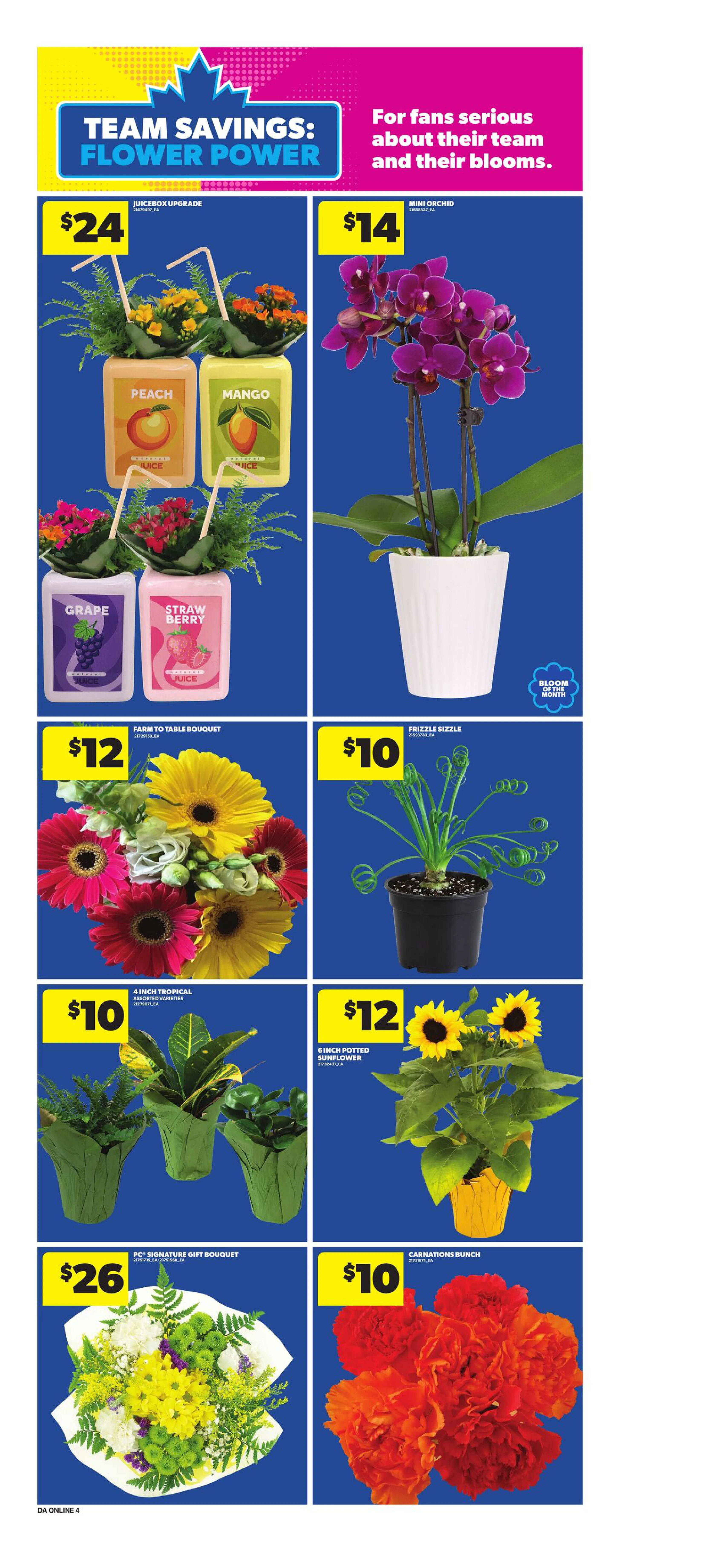 Flyer page 10