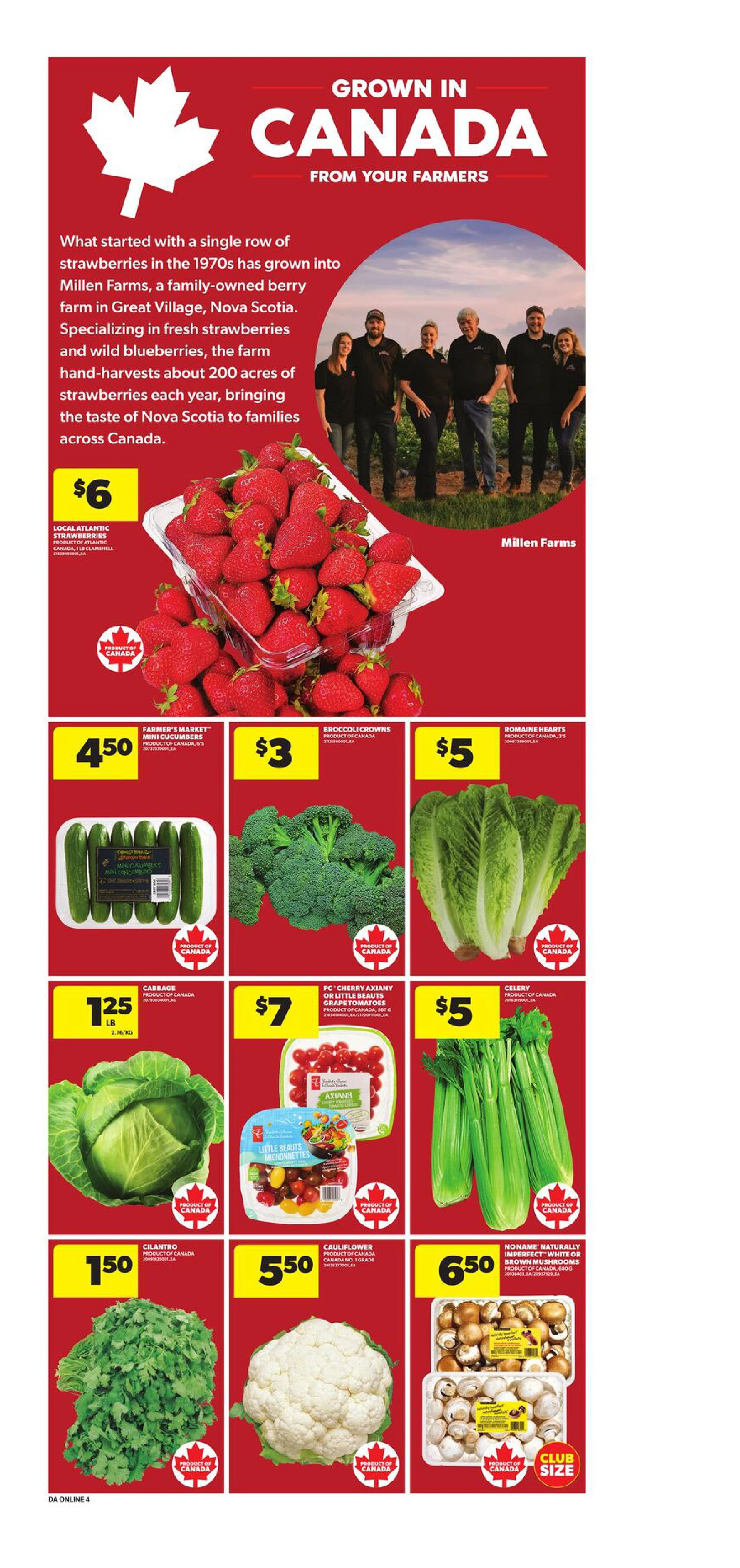 Flyer page 10
