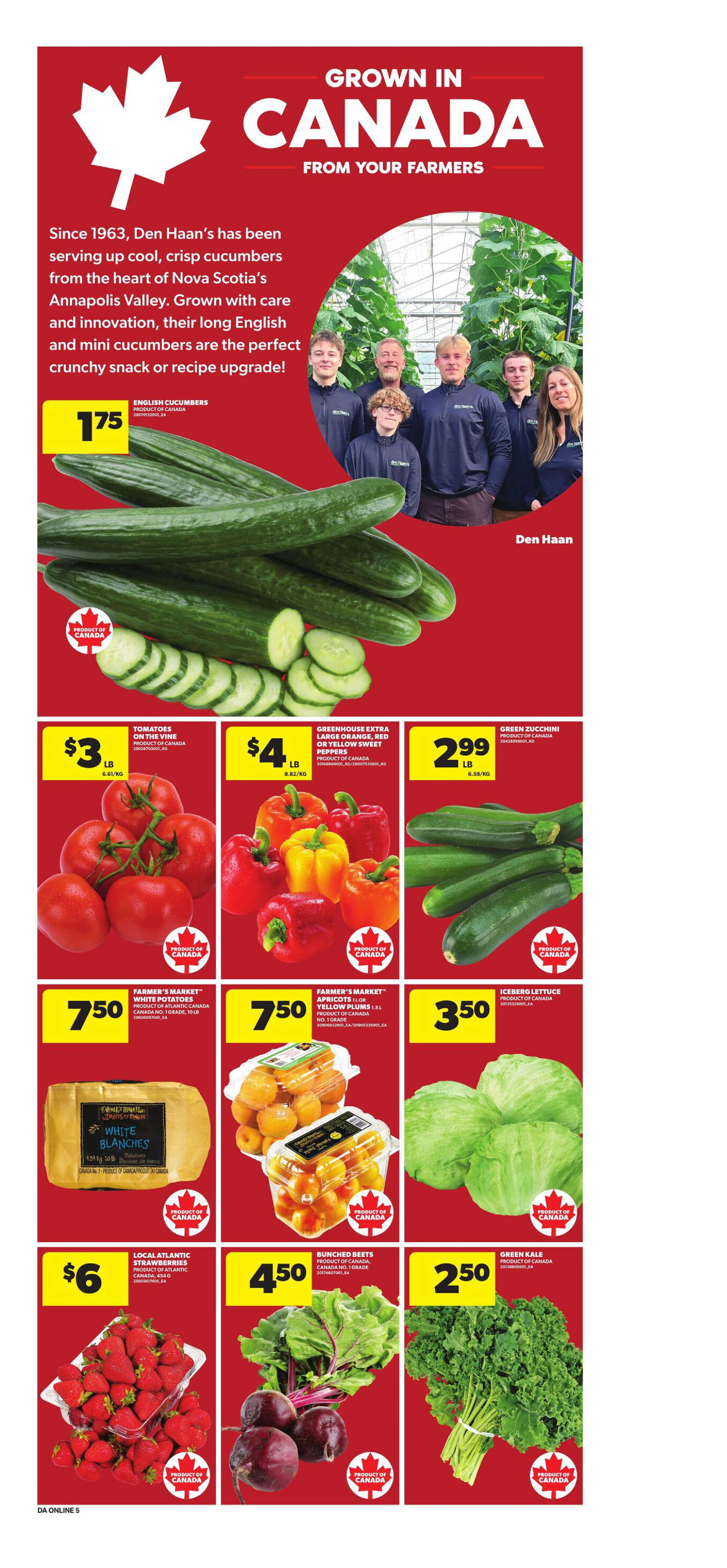 Flyer page 12