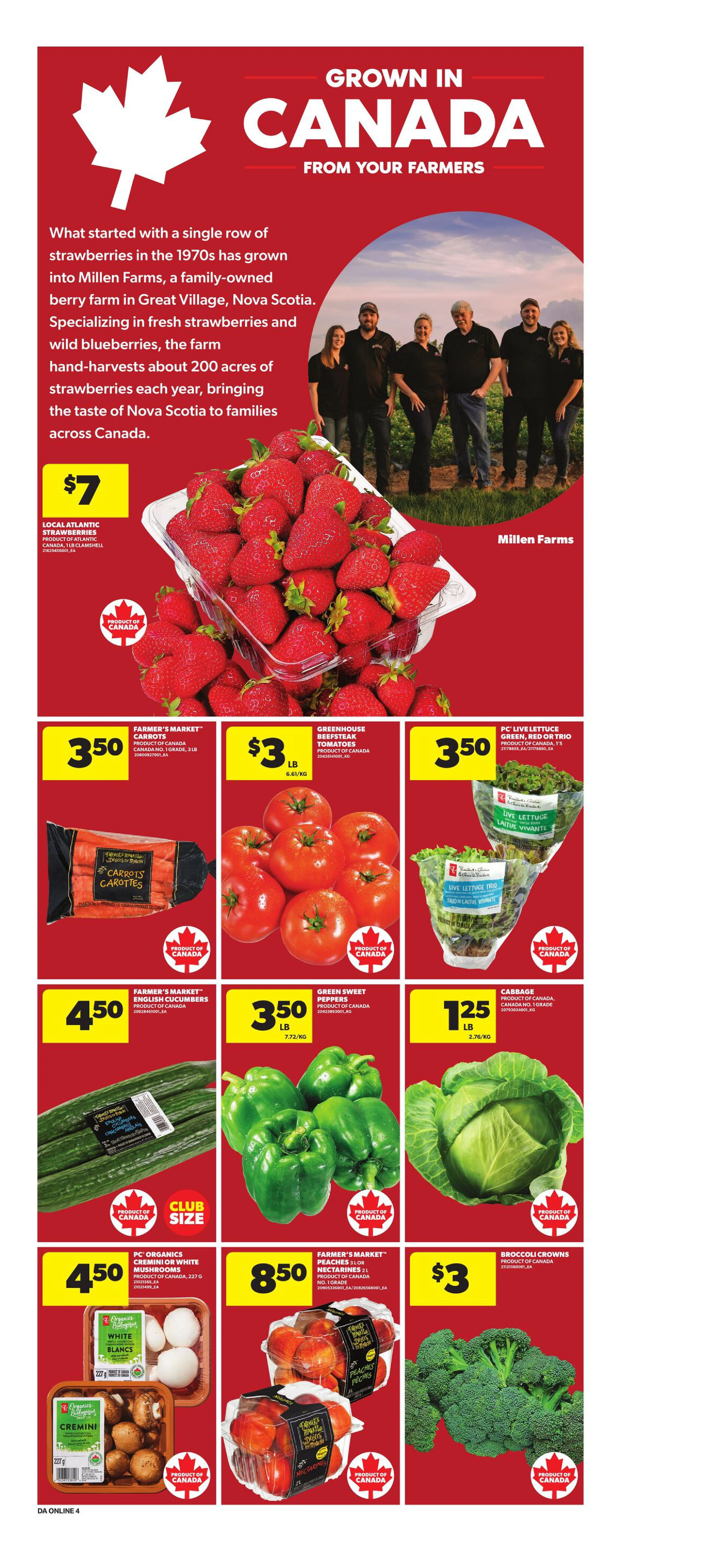 Flyer page 10