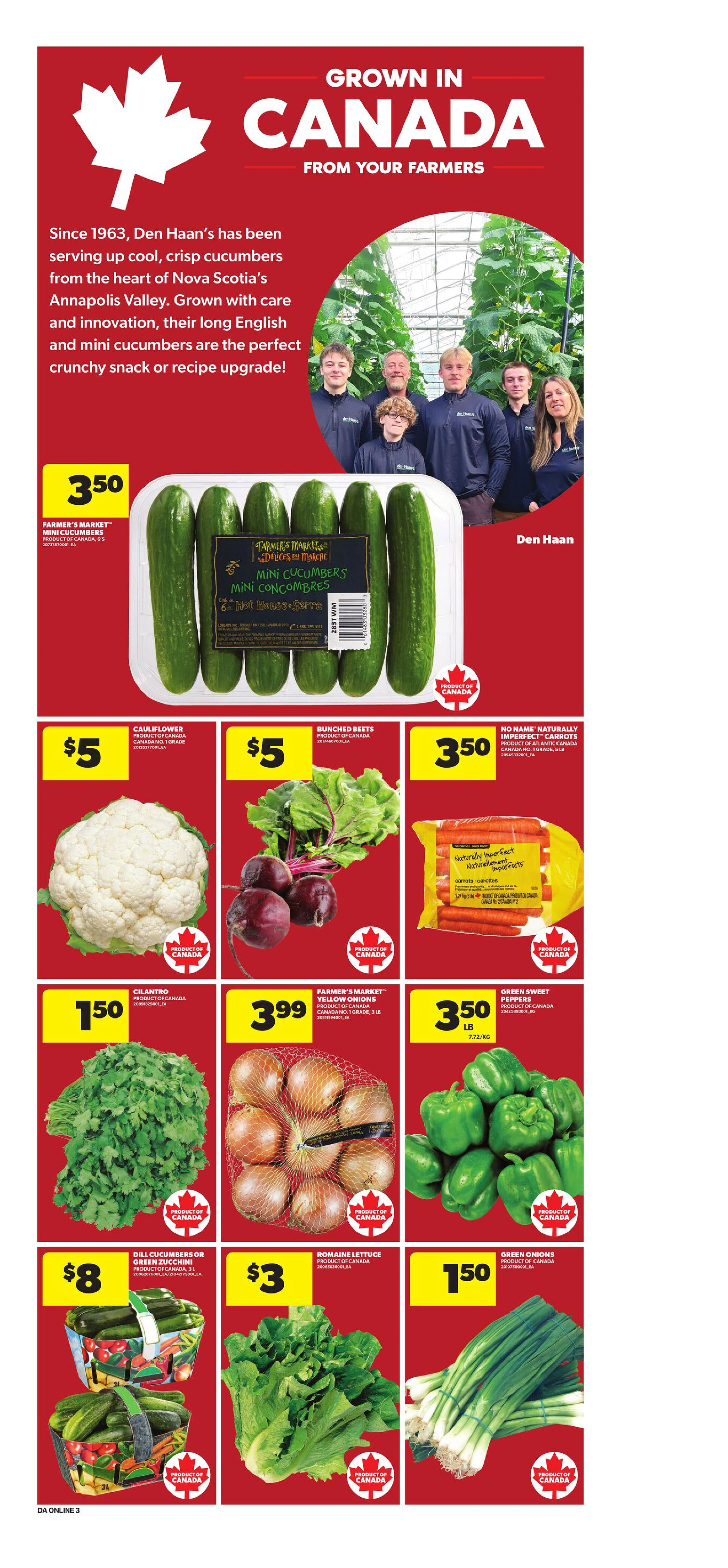 Flyer page 10