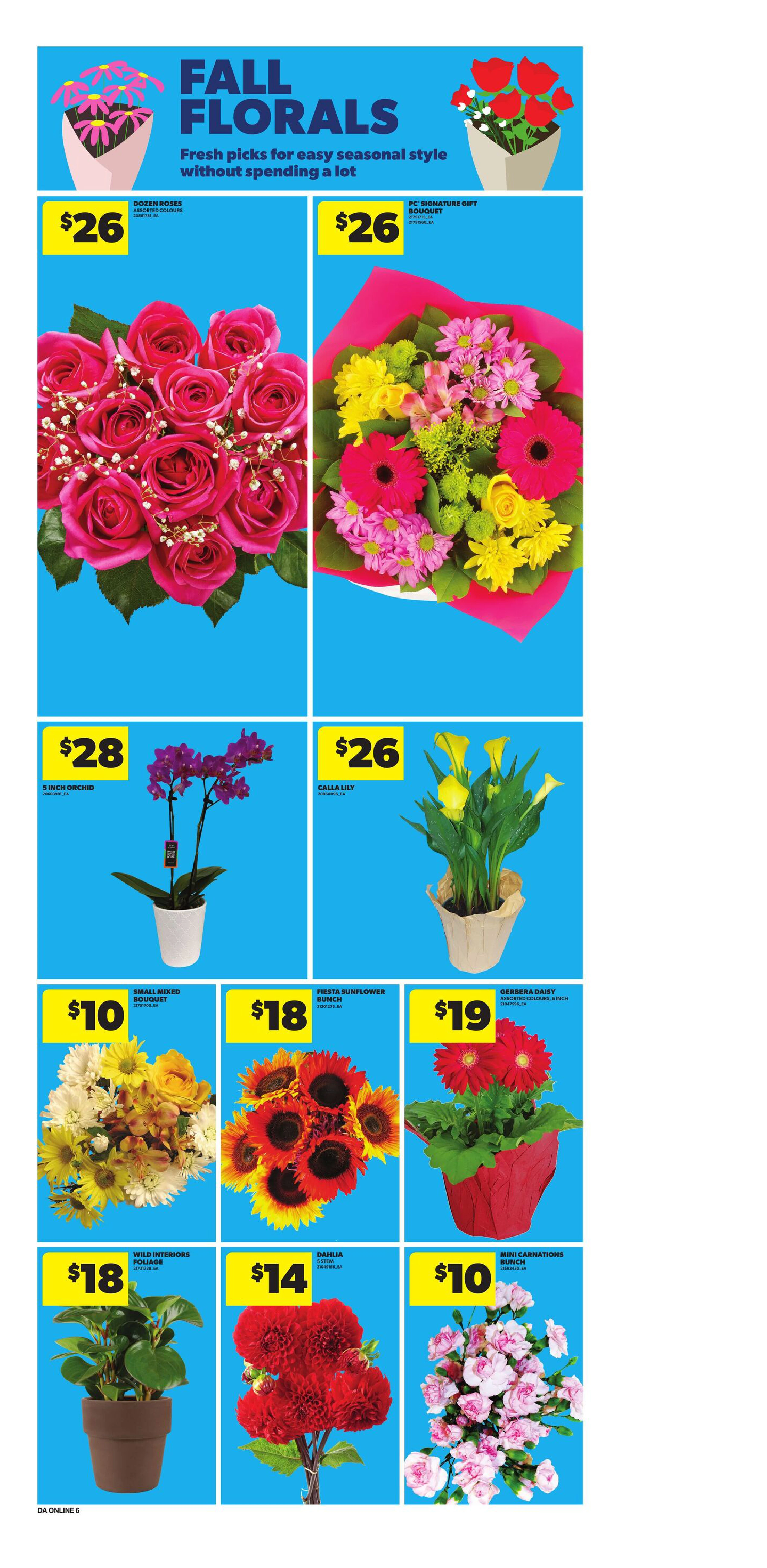 Flyer page 14
