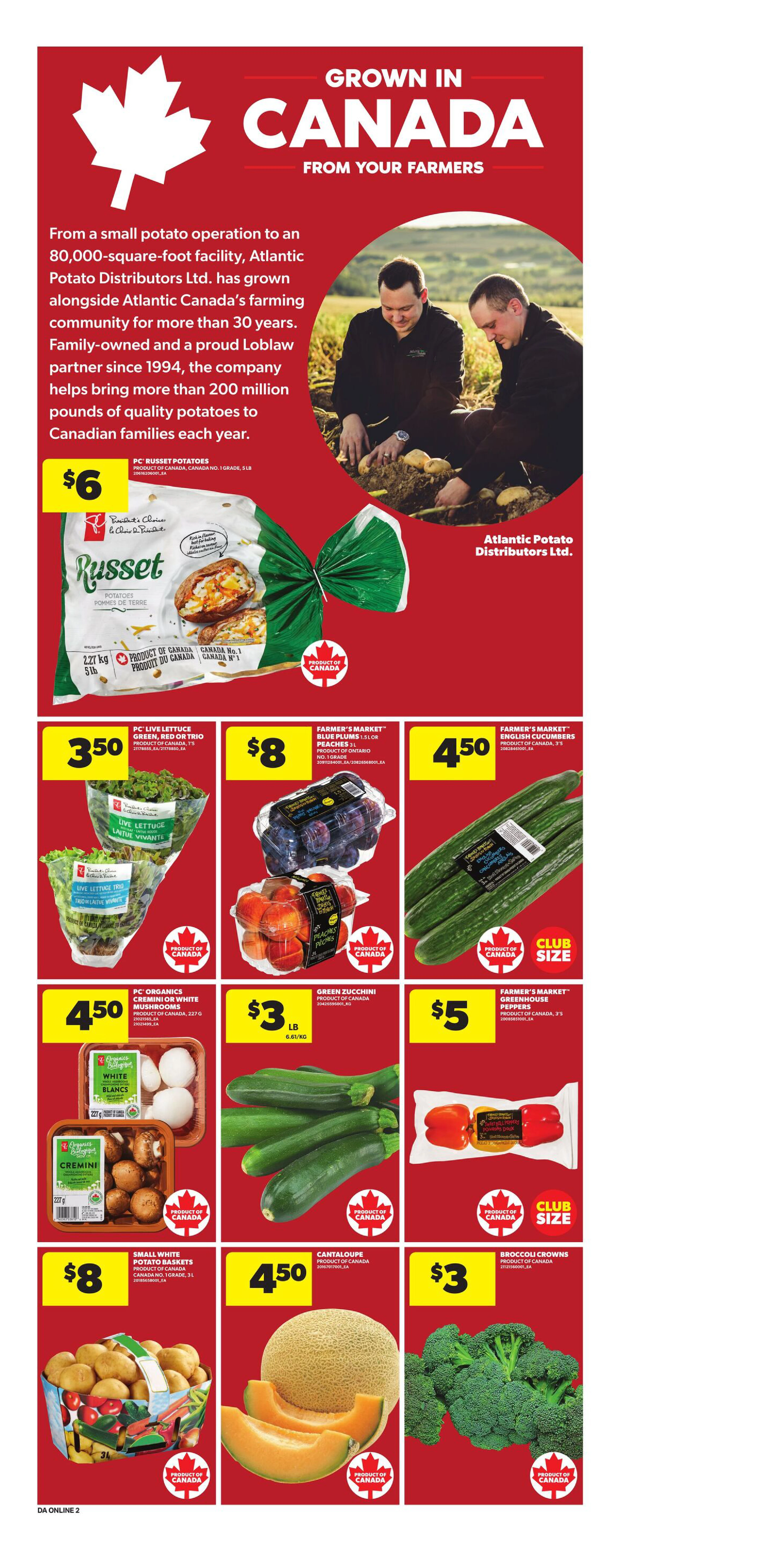 Flyer page 8