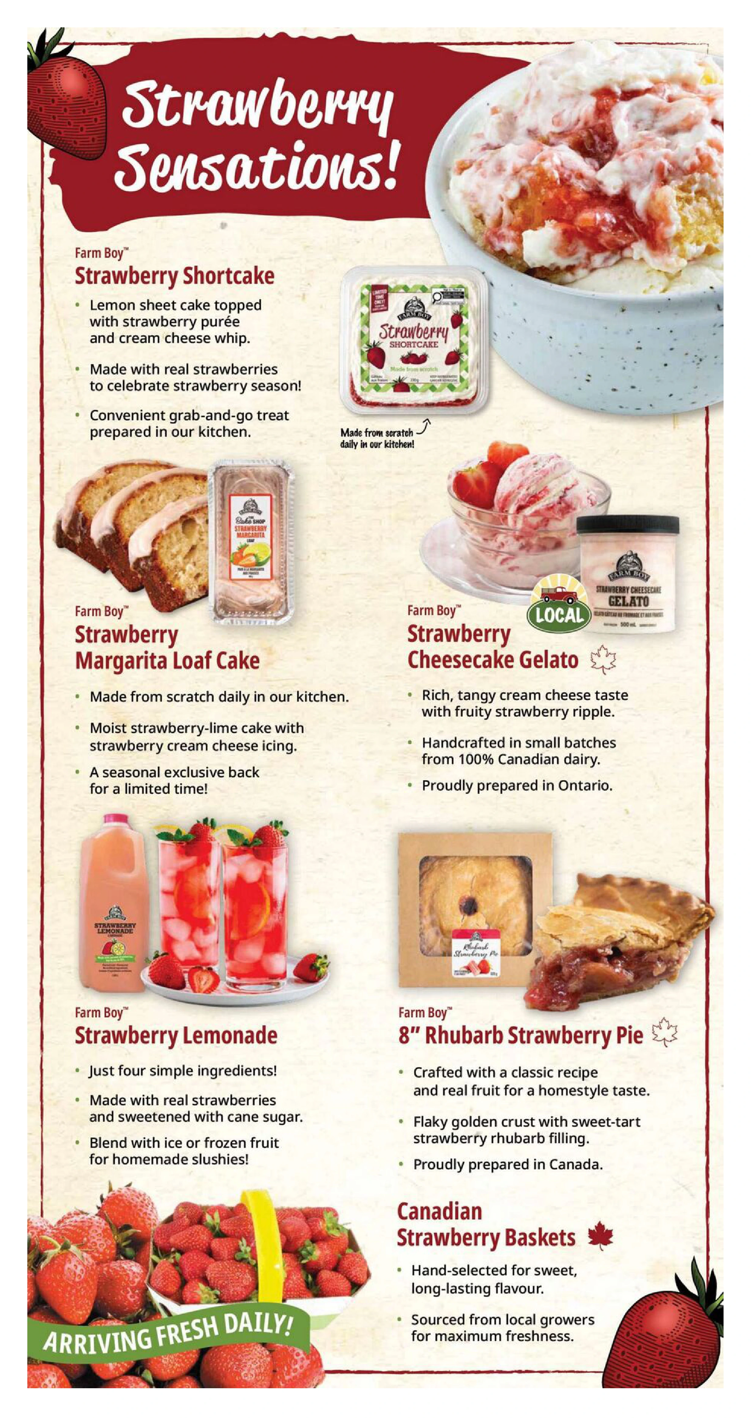 Flyer page 8