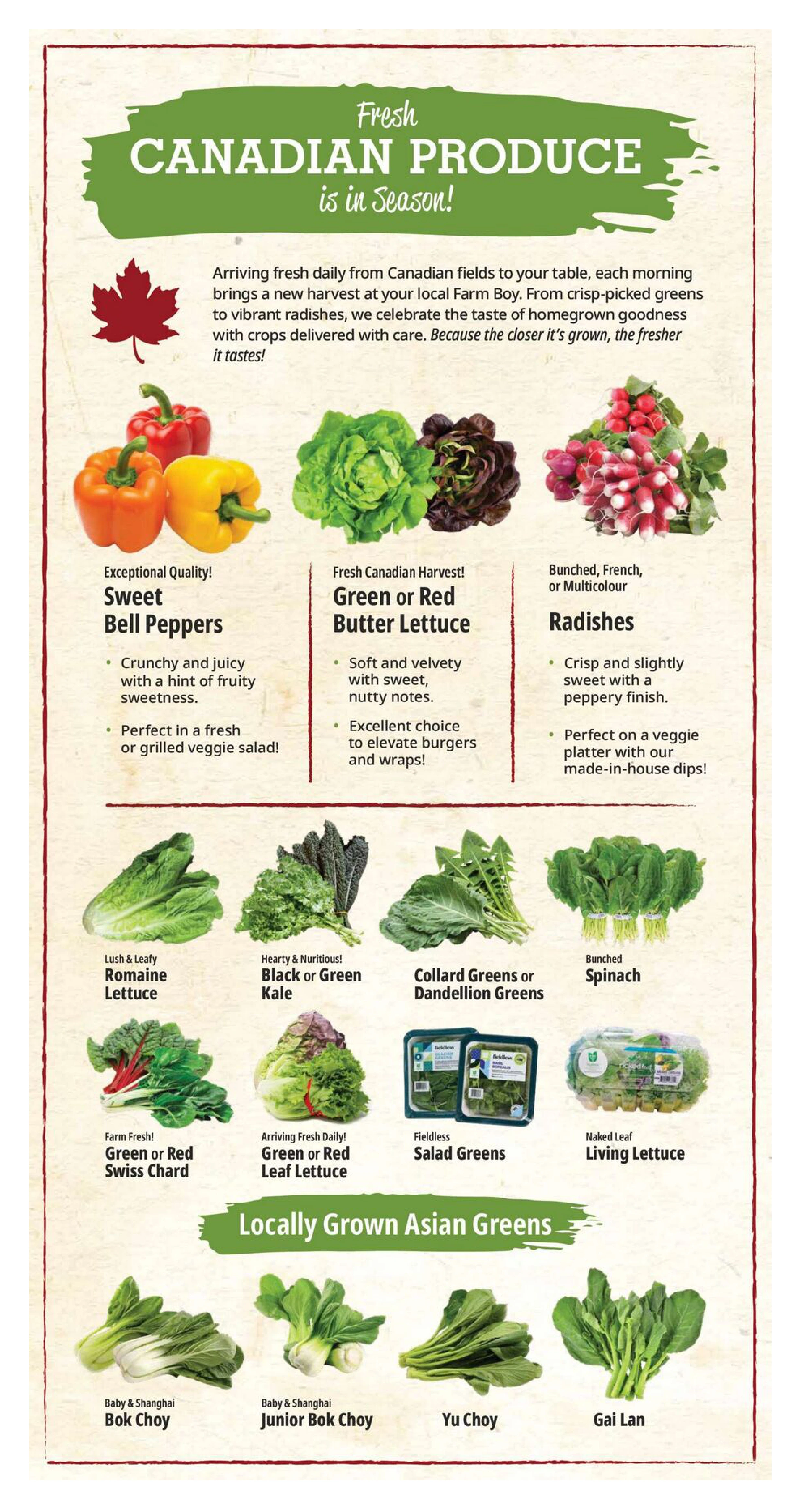Flyer page 9