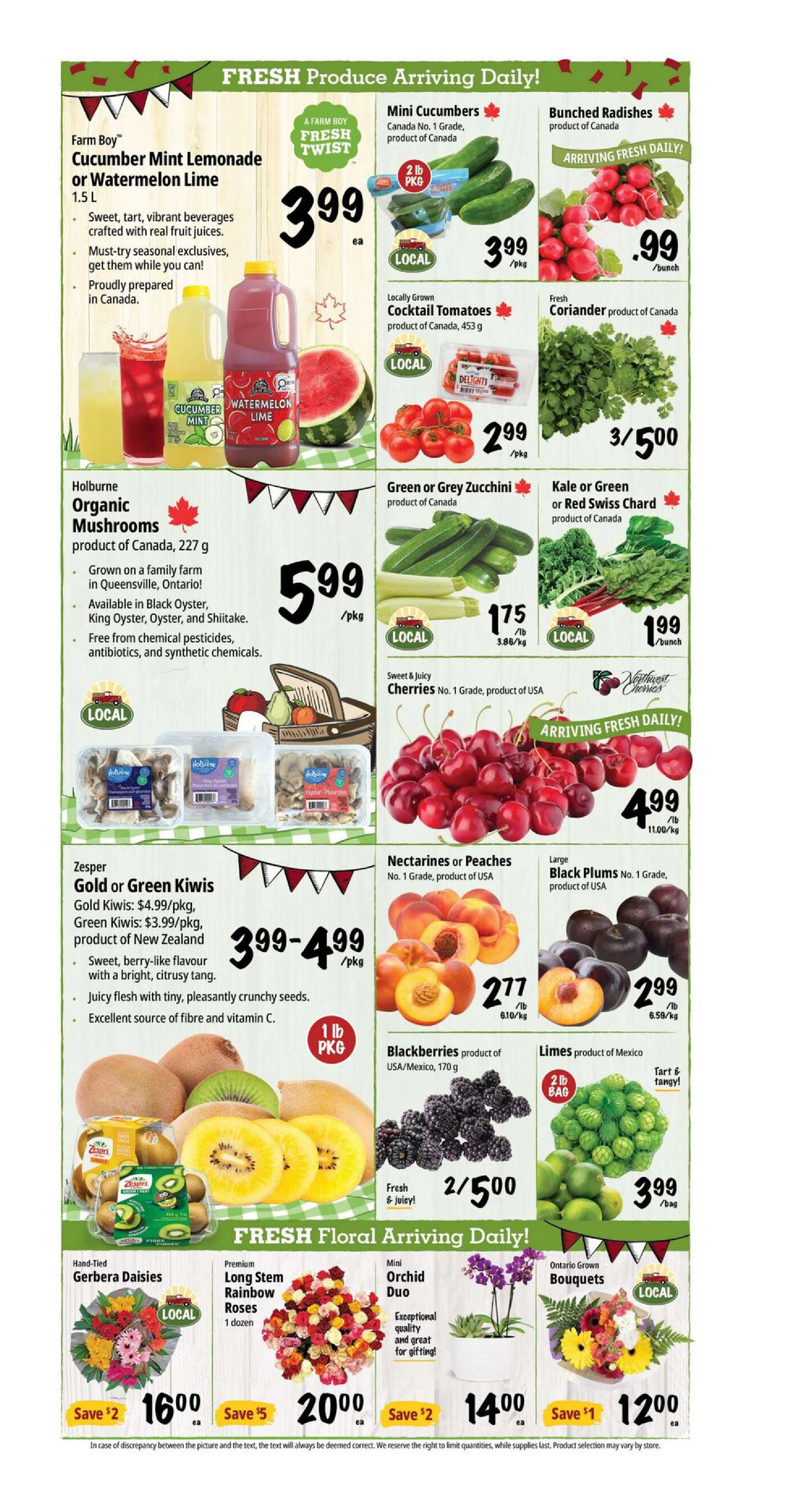 Flyer page 4