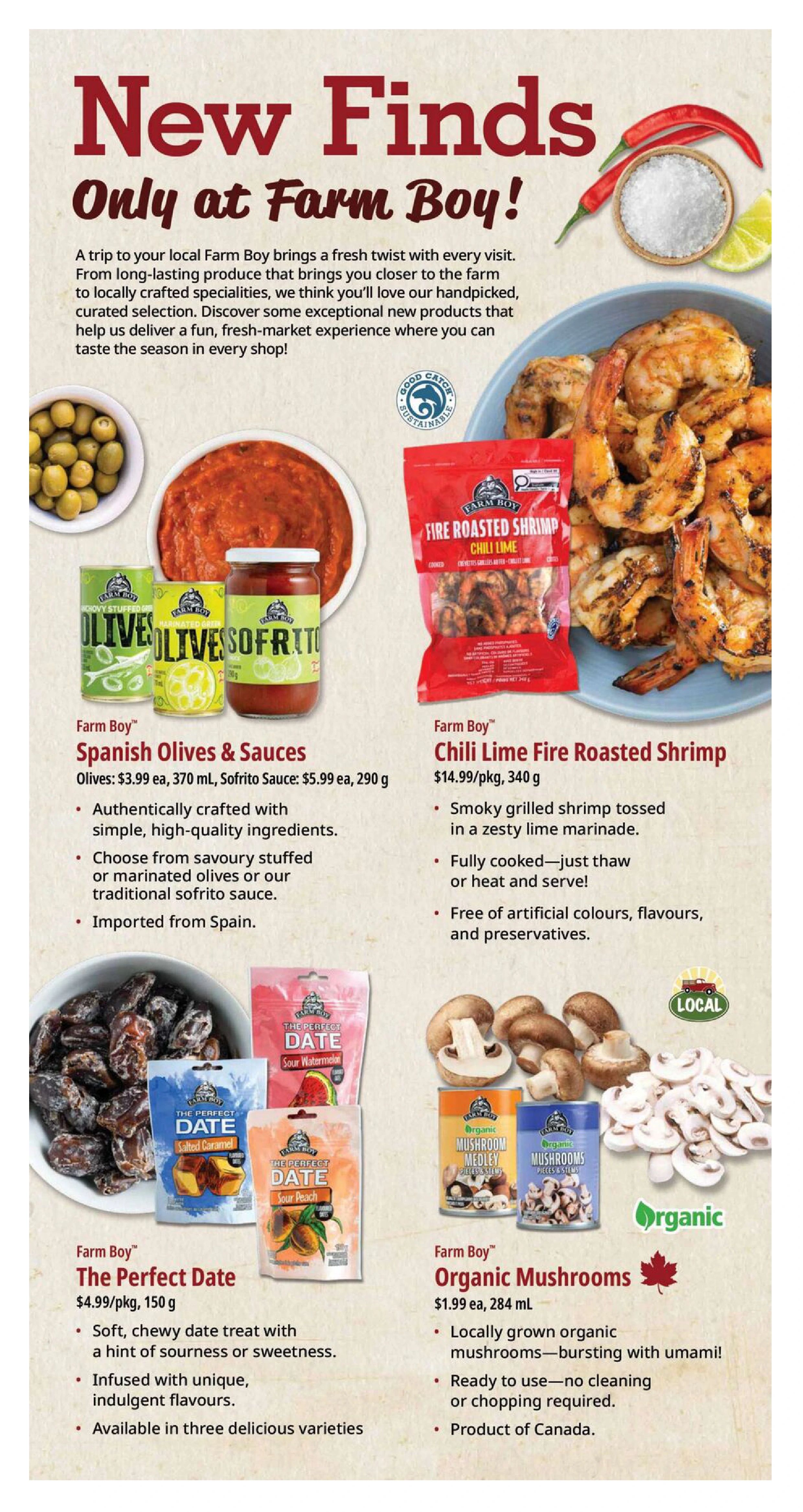 Flyer page 5