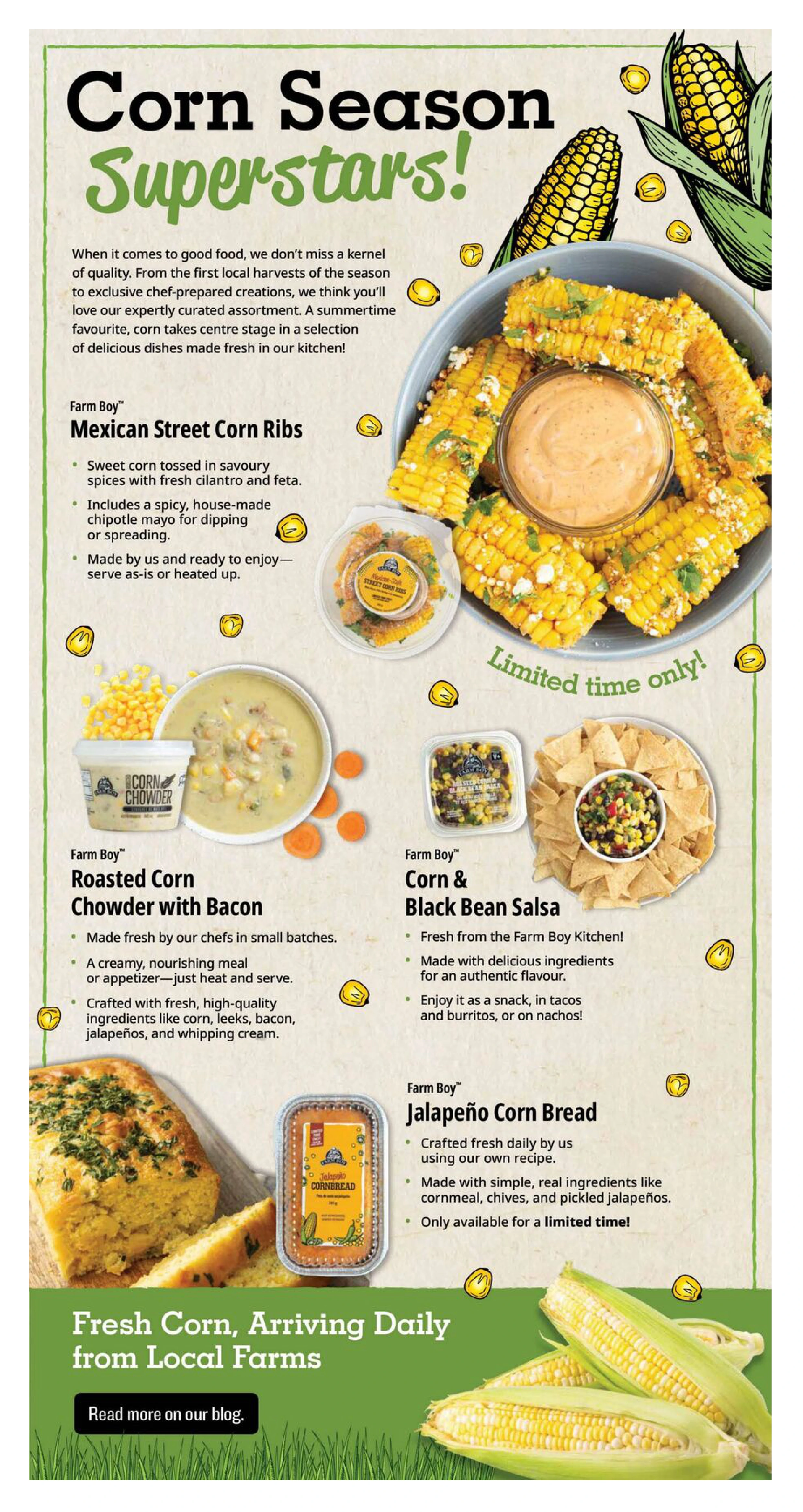 Flyer page 5