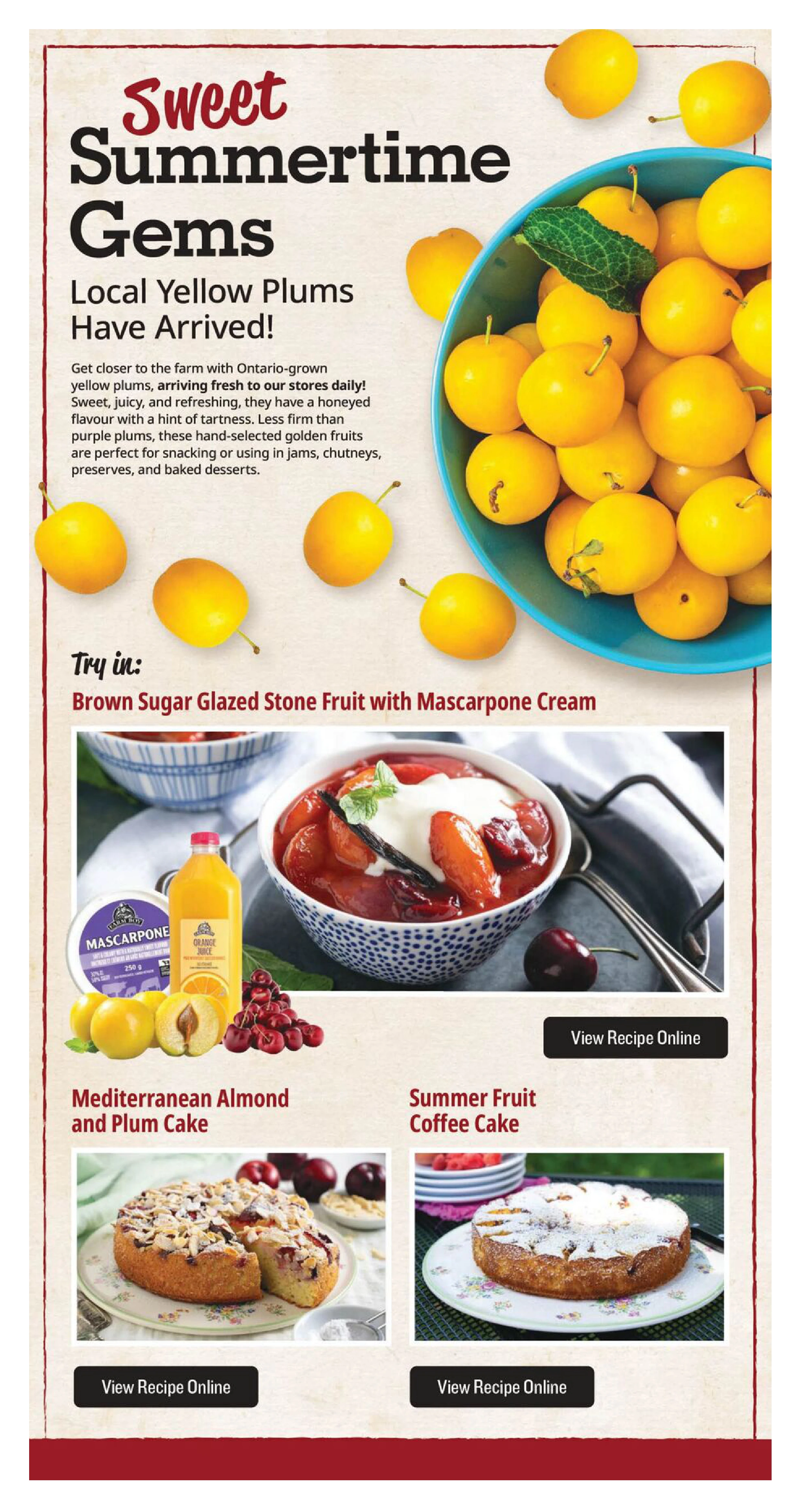 Flyer page 7