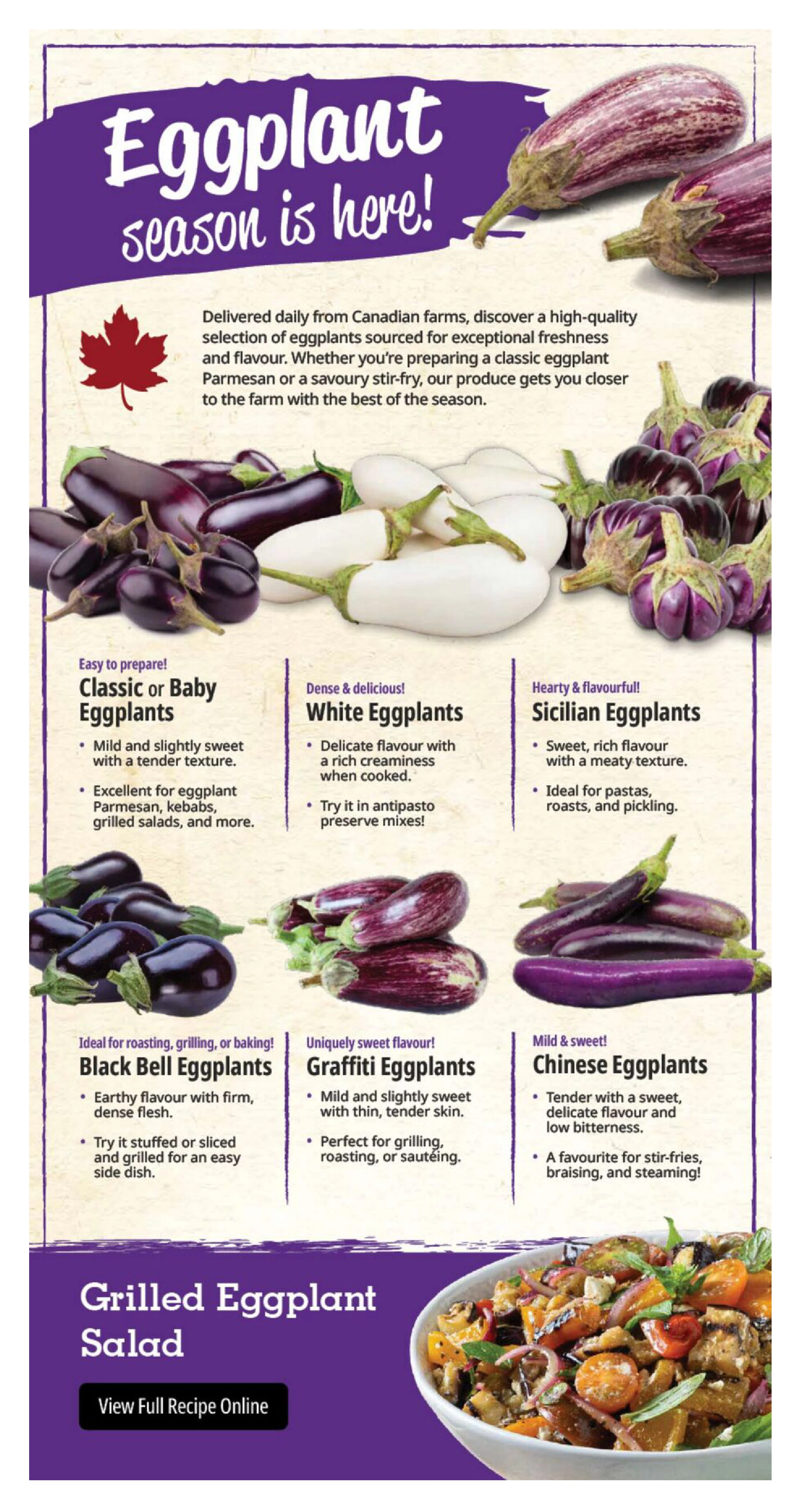 Flyer page 6