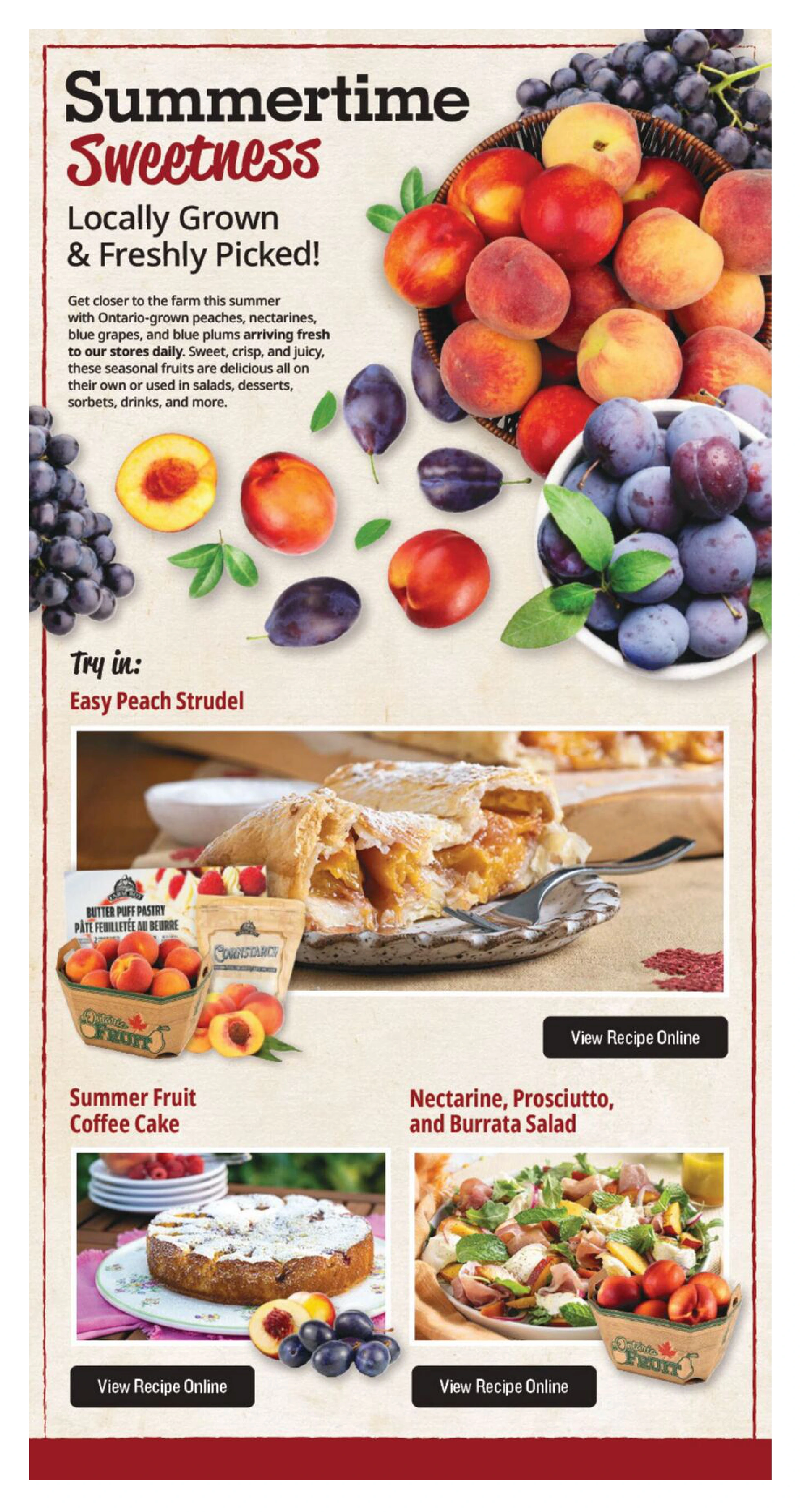 Flyer page 7