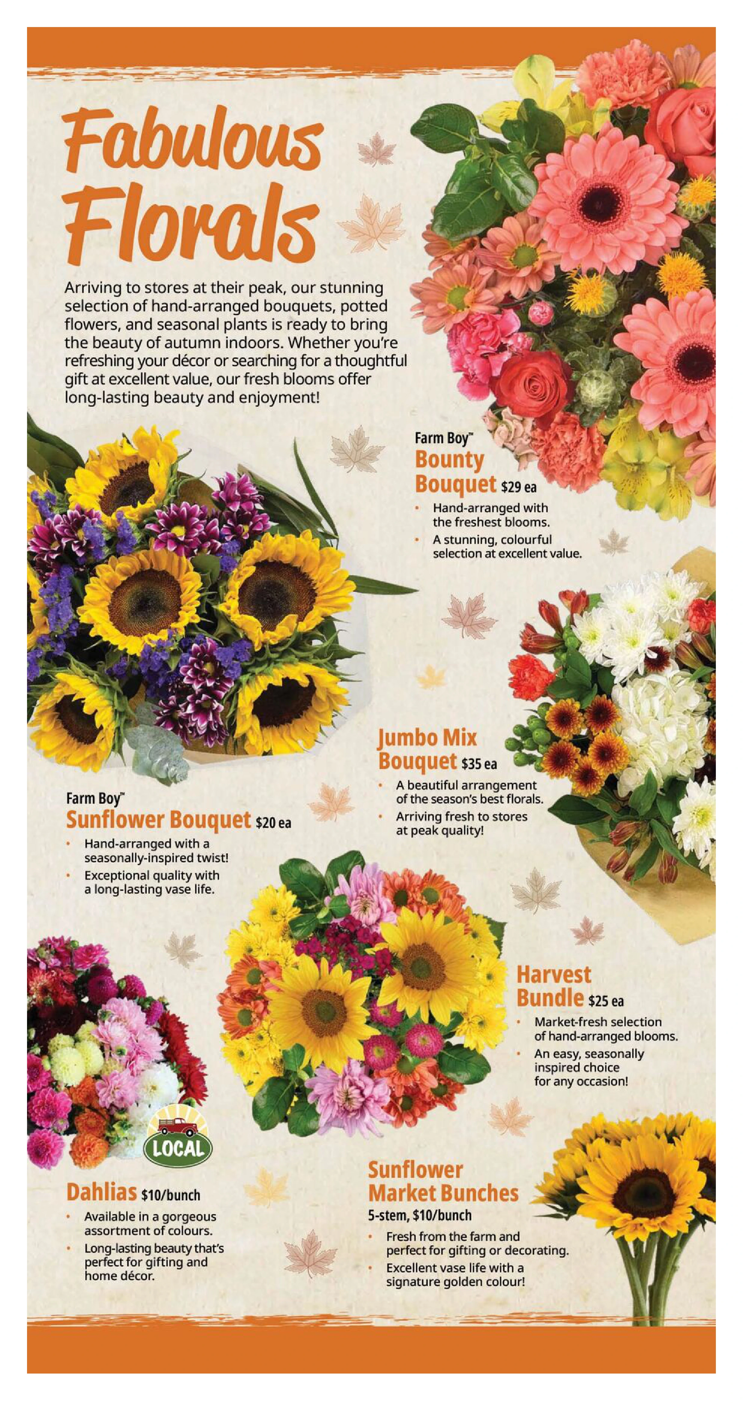 Farm Boy Weekly - Page 7