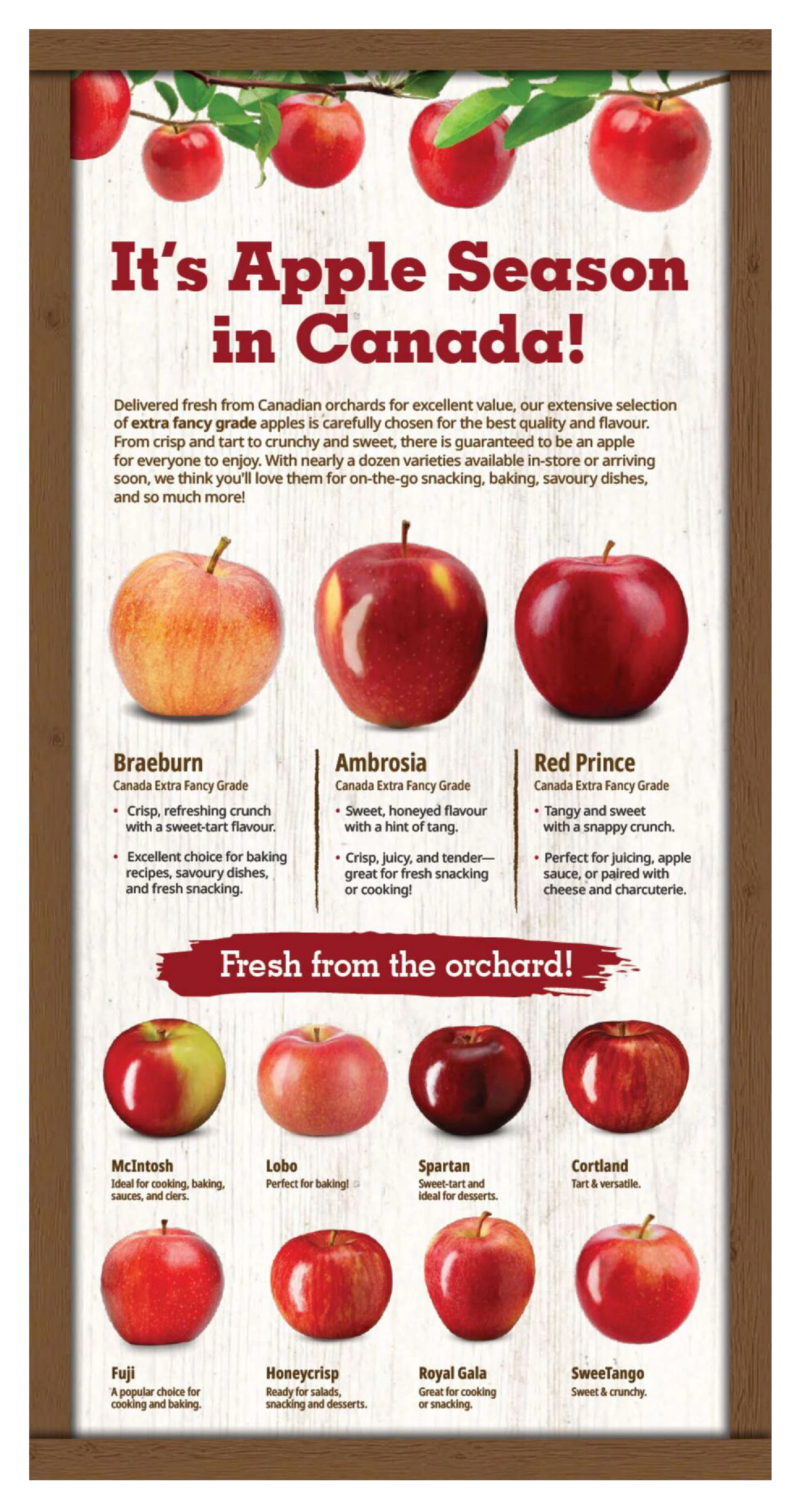 Farm Boy Weekly - Page 7