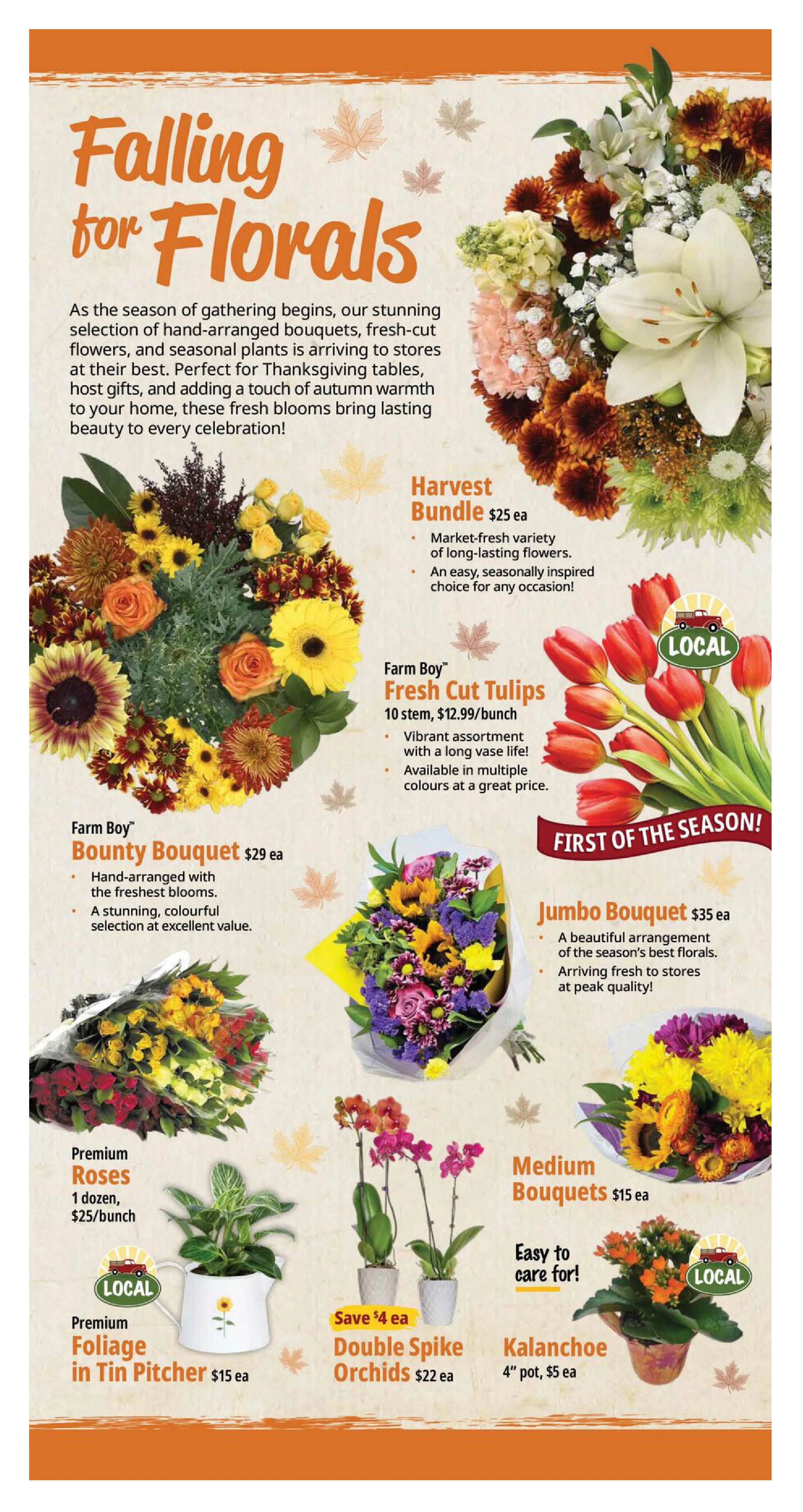 Farm Boy Weekly - Page 7