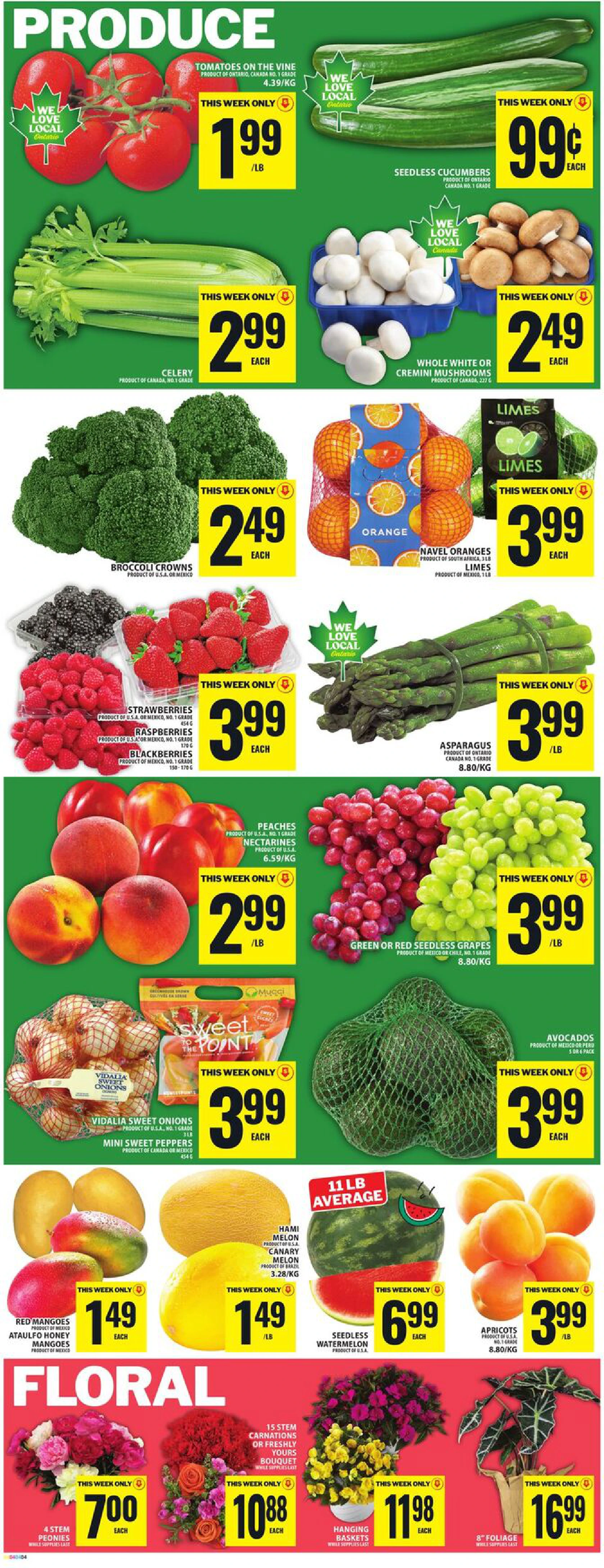 Flyer page 6