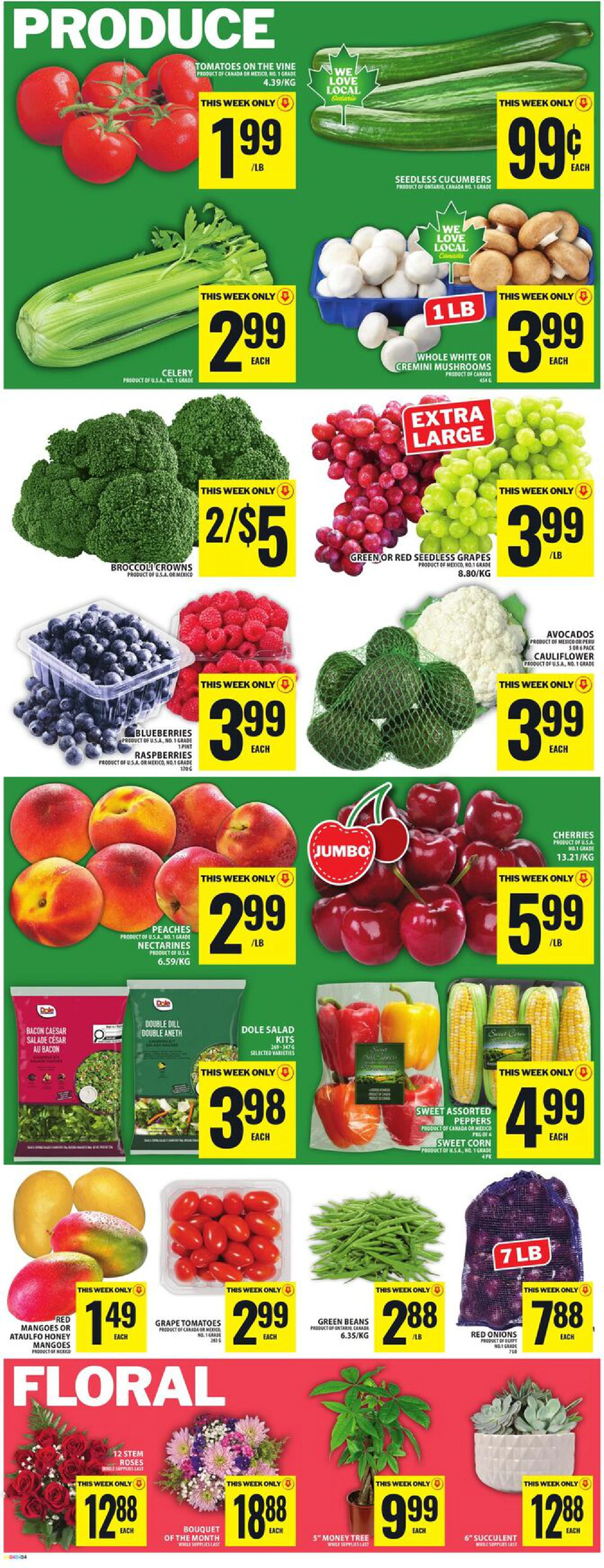 Flyer page 6