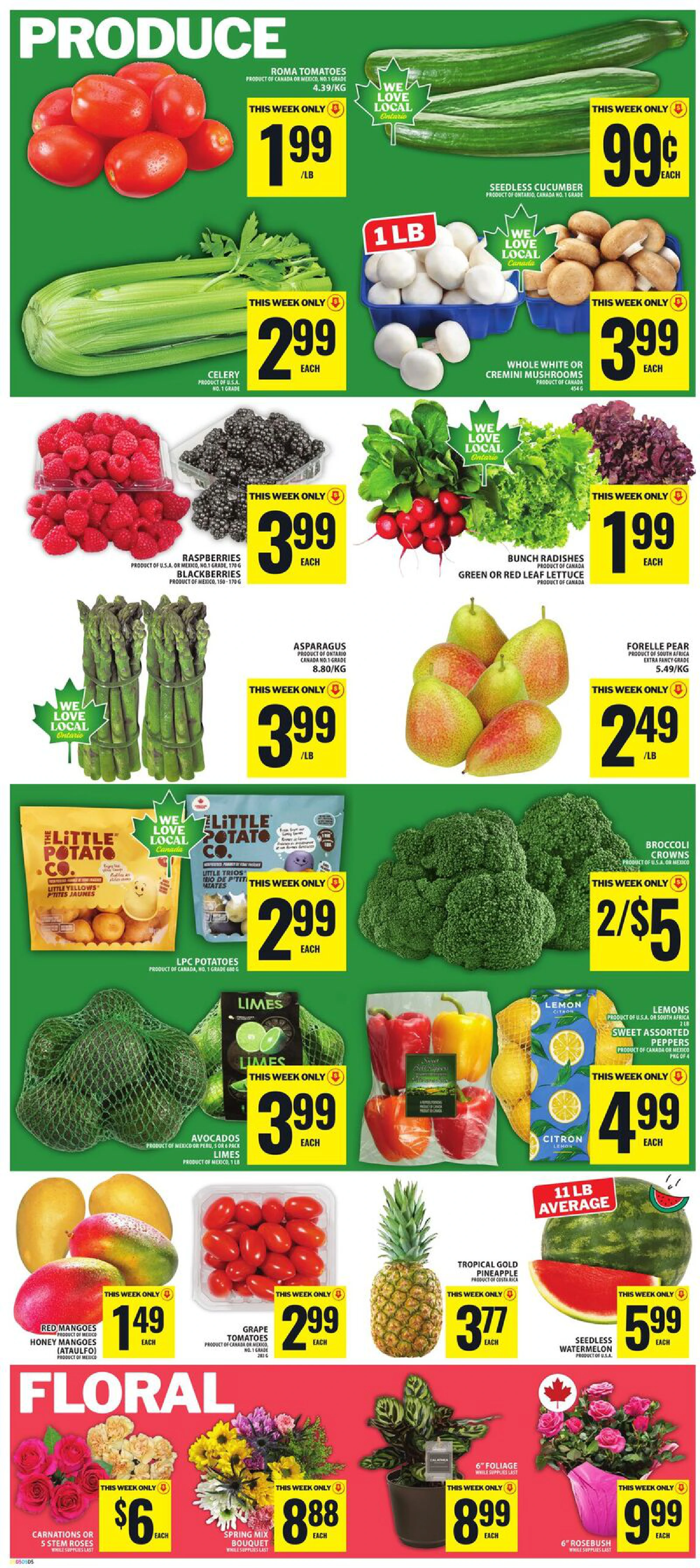 Flyer page 6