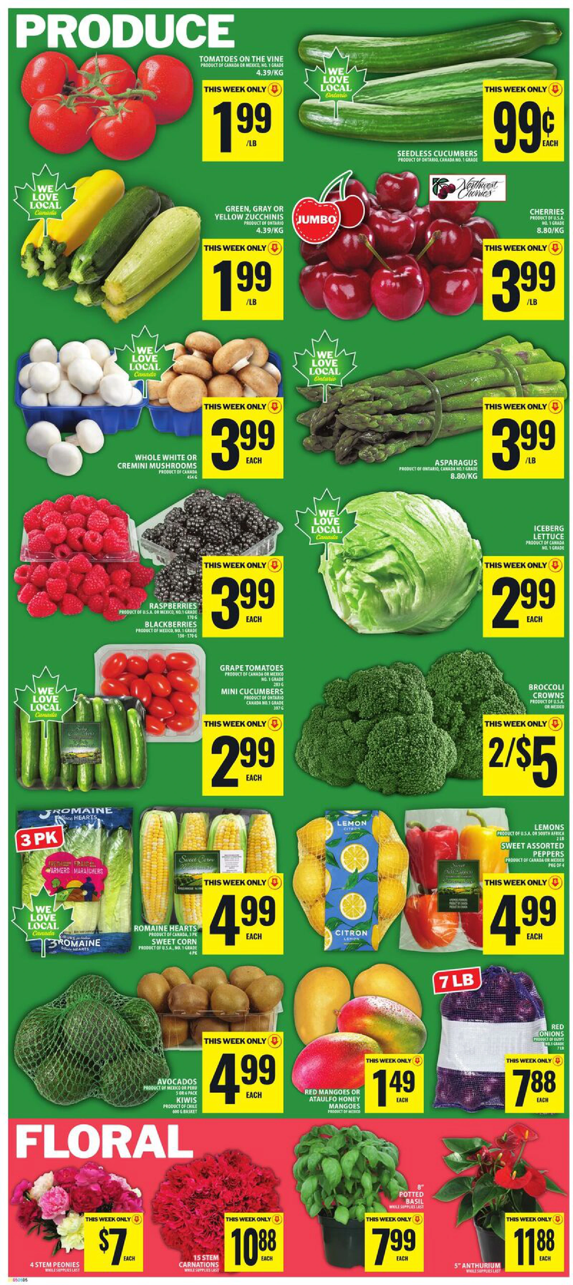 Flyer page 6