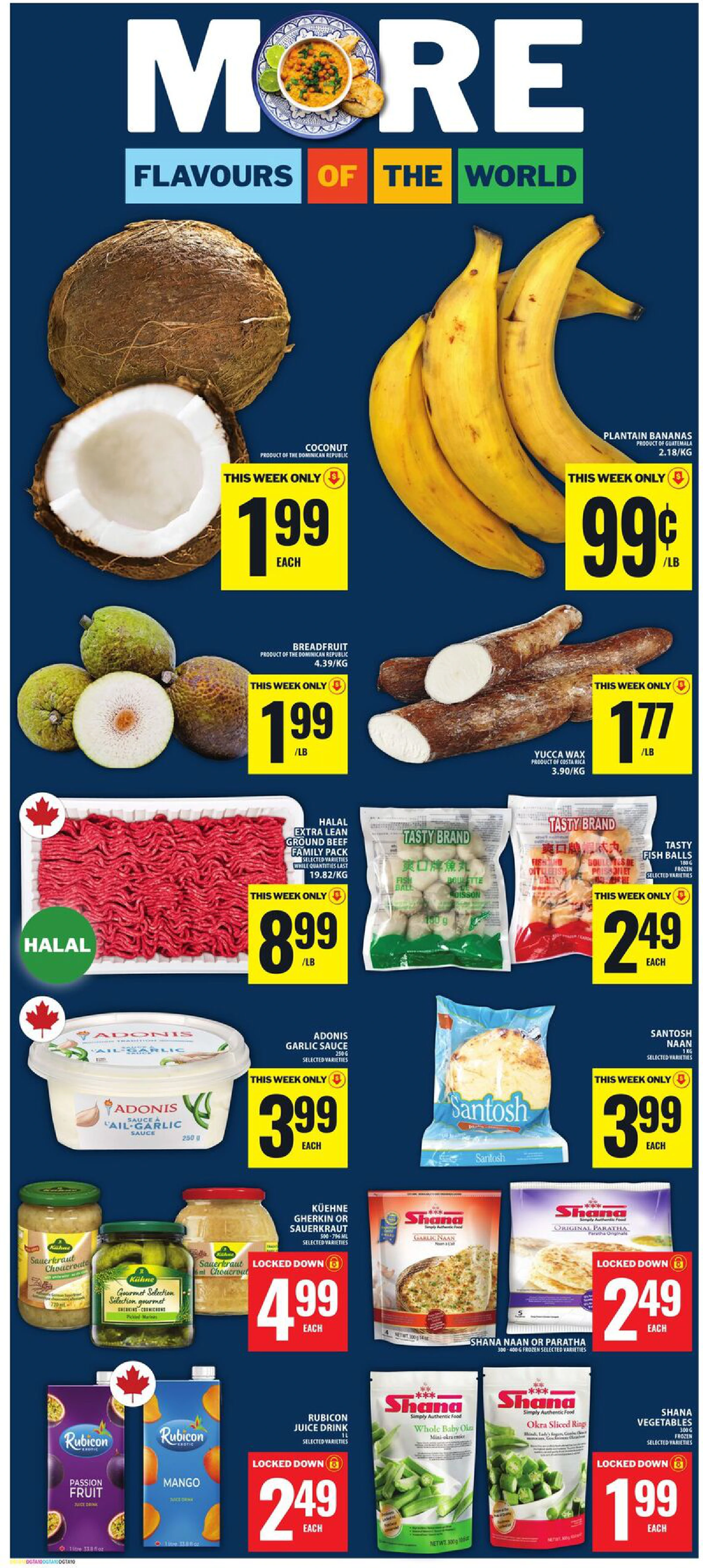 Flyer page 11