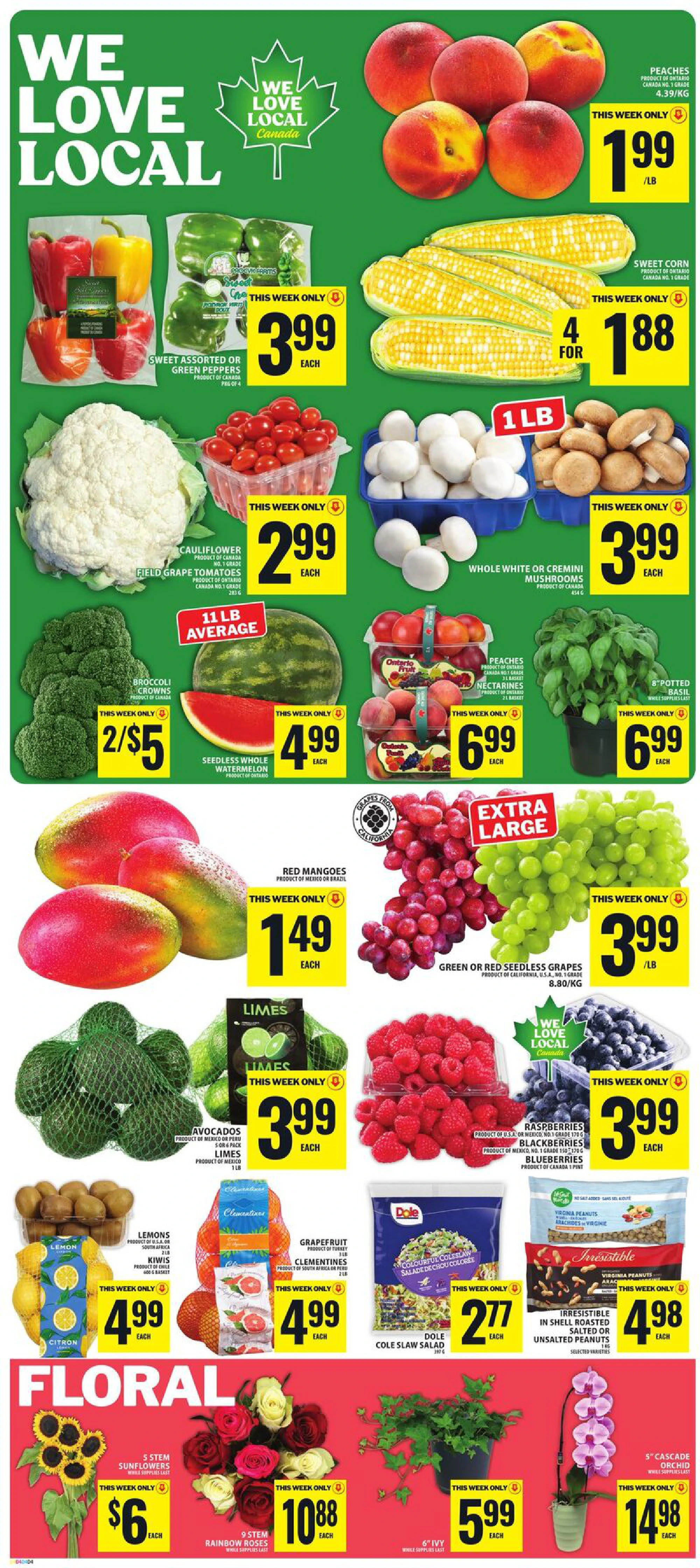 Flyer page 3