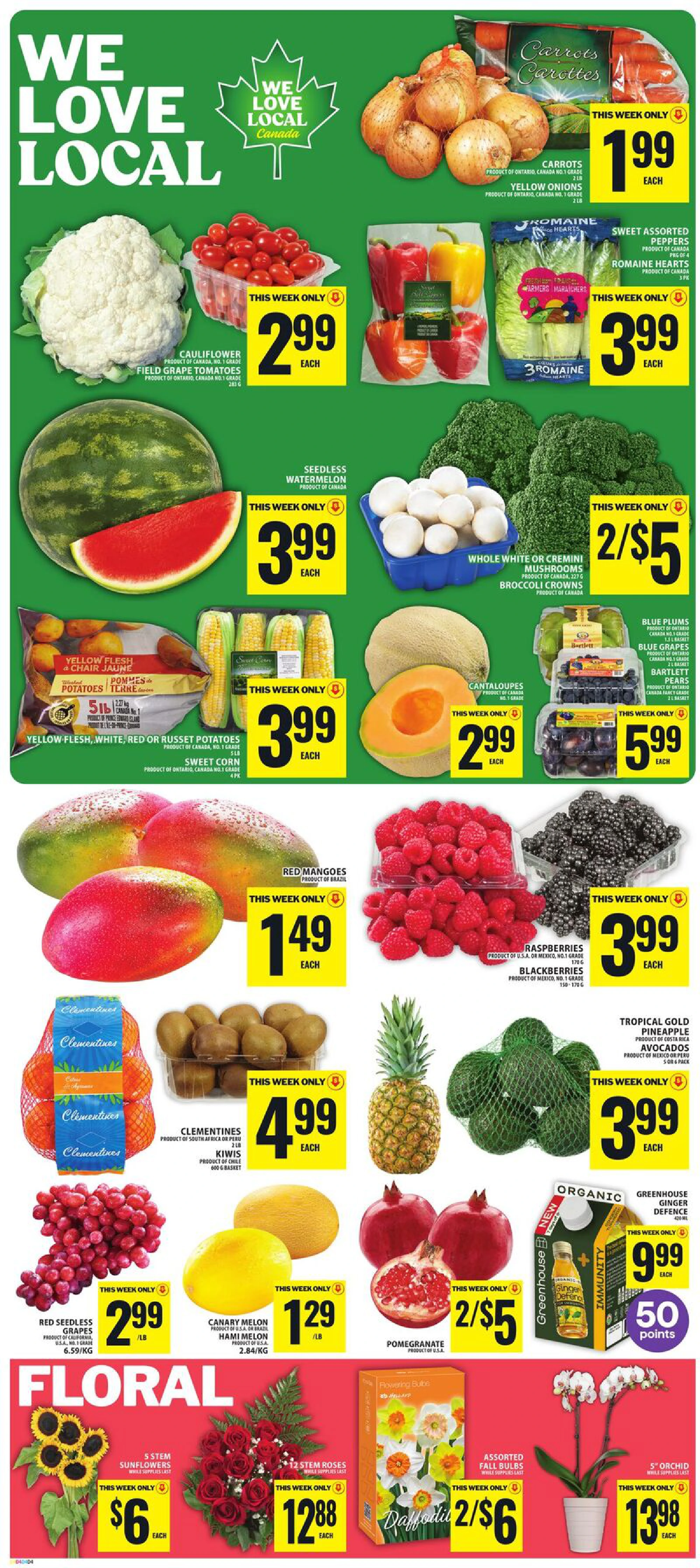 Food Basics Weekly Flyer FORMAT 4 (GTA) - Page 7